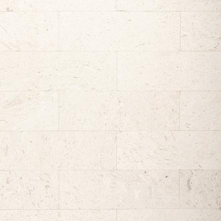 Fossil Brushed Limestone Tile Fossil Brushed Limestone Tile