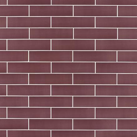 Plum III Polished Ceramic Wall Tile Plum III Polished Ceramic Wall Tile
