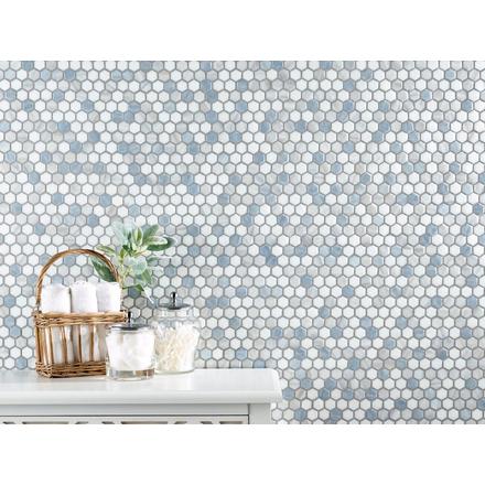 Brizo Glass Hexagon Mosaic Brizo Glass Hexagon Mosaic