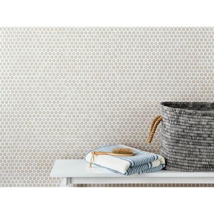 Cashmere Mixed Finish Porcelain Penny Mosaic Cashmere Mixed Finish Porcelain Penny Mosaic