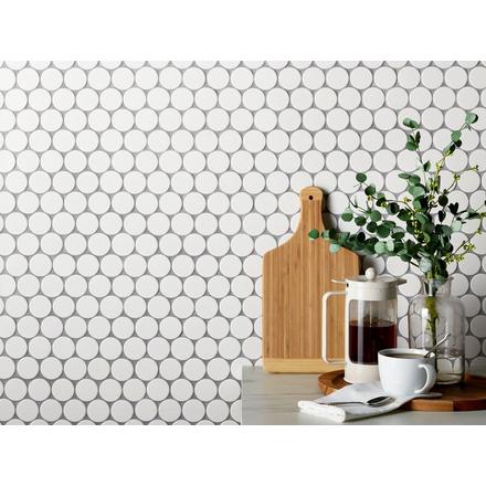 Mod White Unglazed Porcelain Penny Mosaic Mod White Unglazed Porcelain Penny Mosaic