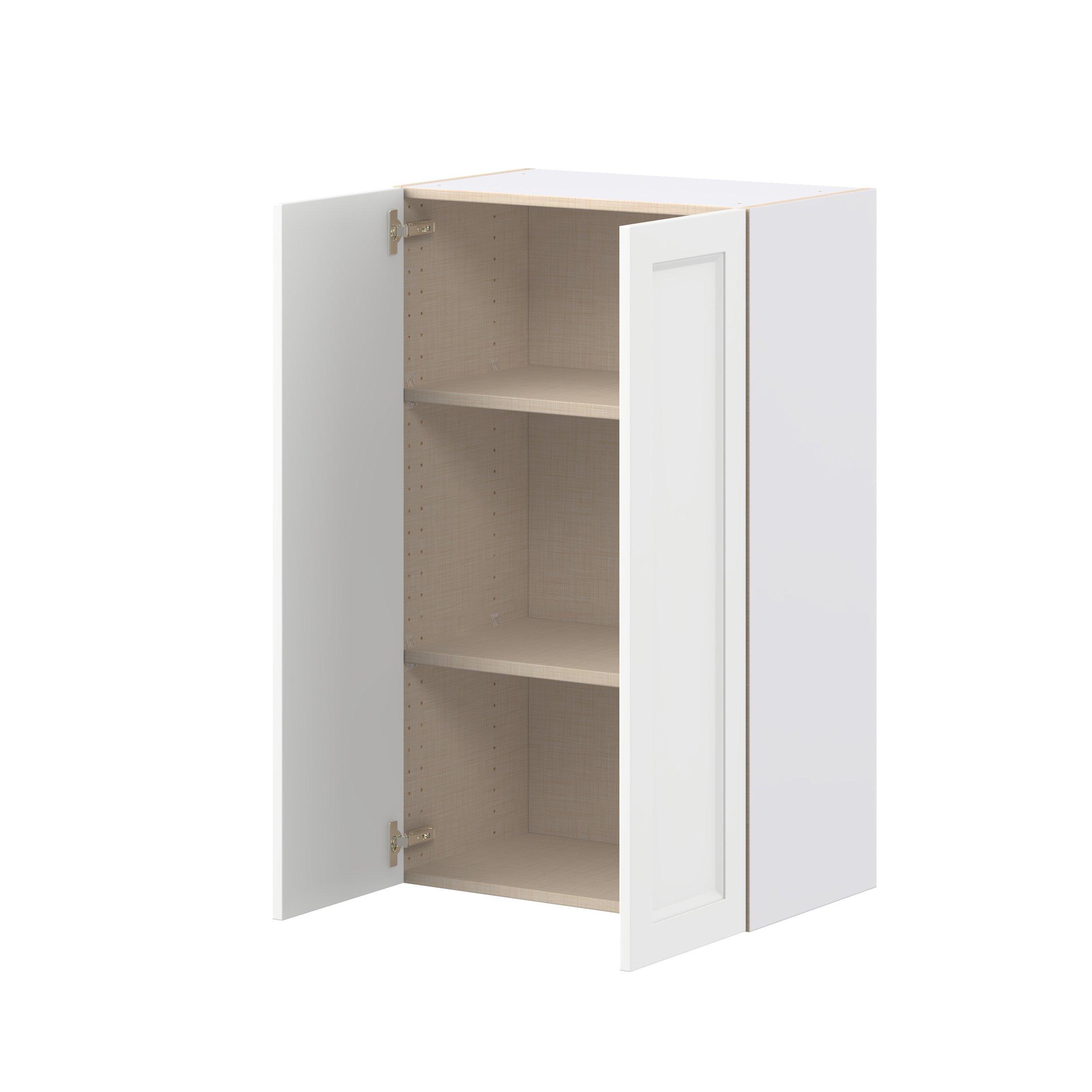 Peachtree 24 in. Painted Bright White Door Wall Cabinet