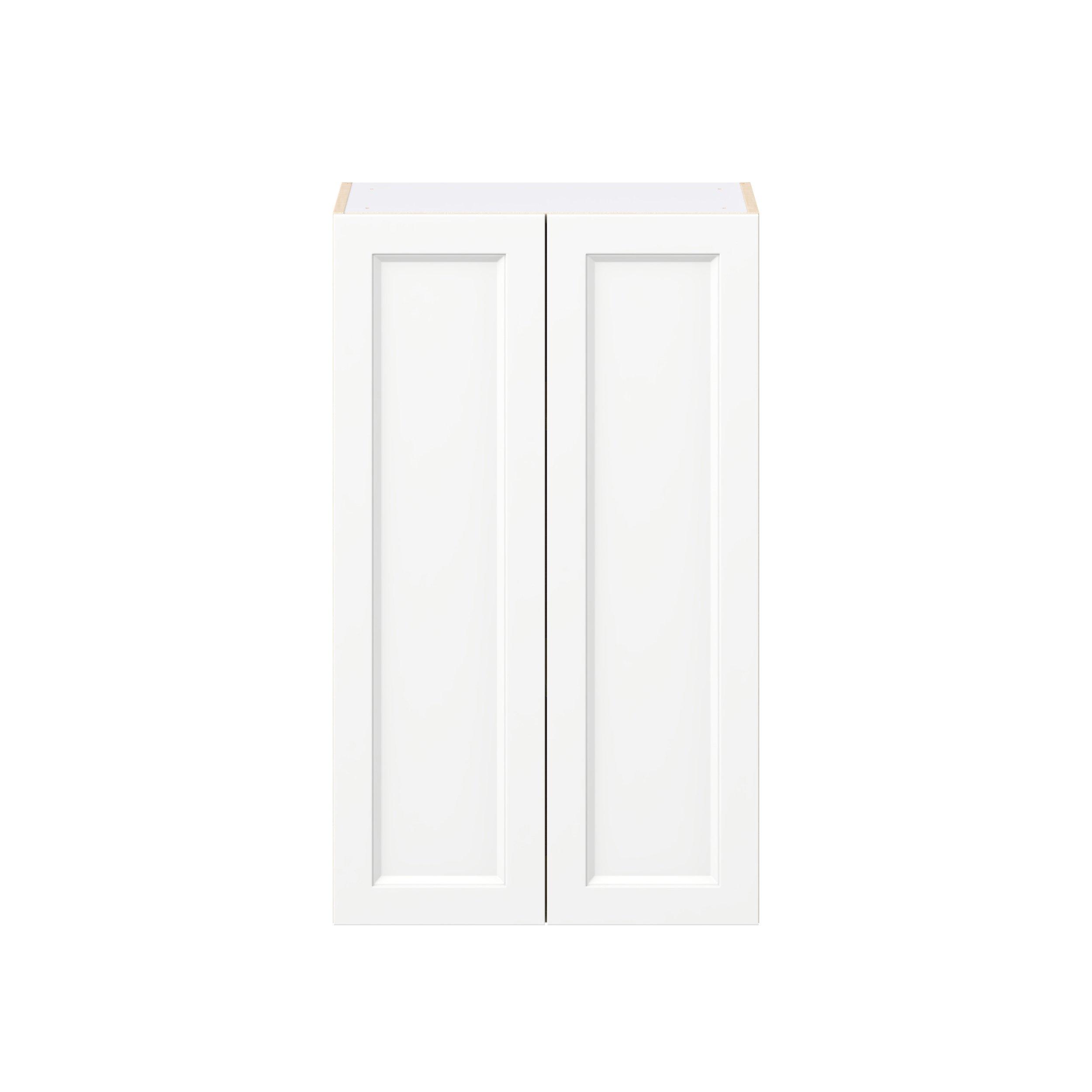 Peachtree 24 in. Painted Bright White Door Wall Cabinet