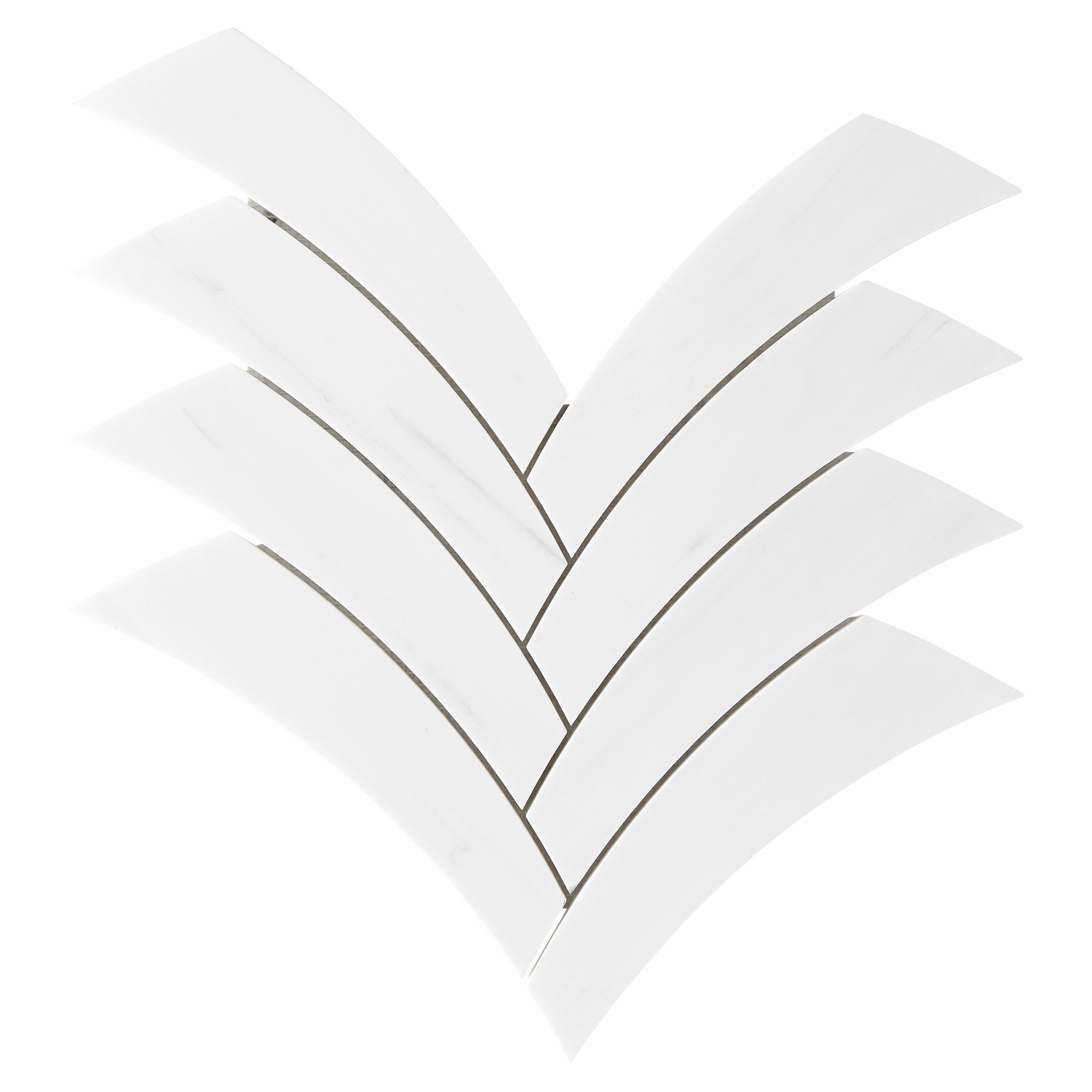 Dolomite Palm Polished Tile