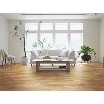 Golden Heartwood Birch Smooth Solid Hardwood Golden Heartwood Birch Smooth Solid Hardwood