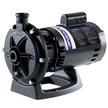 Polaris Booster Pump