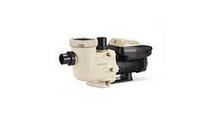 Jacuzzi Pool Pumps