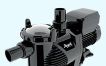 Variable Speed Pumps