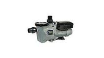 Waterway Pool Pumps