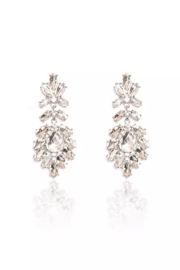 Silver Jewel Drop Earrings