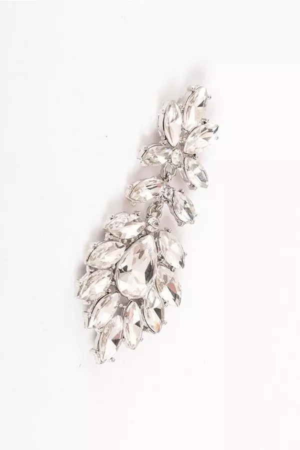 Silver Jewel Drop Earrings