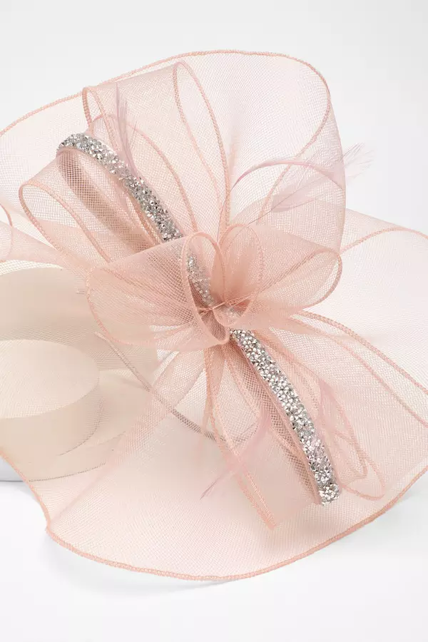 Blush Diamante Trim Headband Fascinator