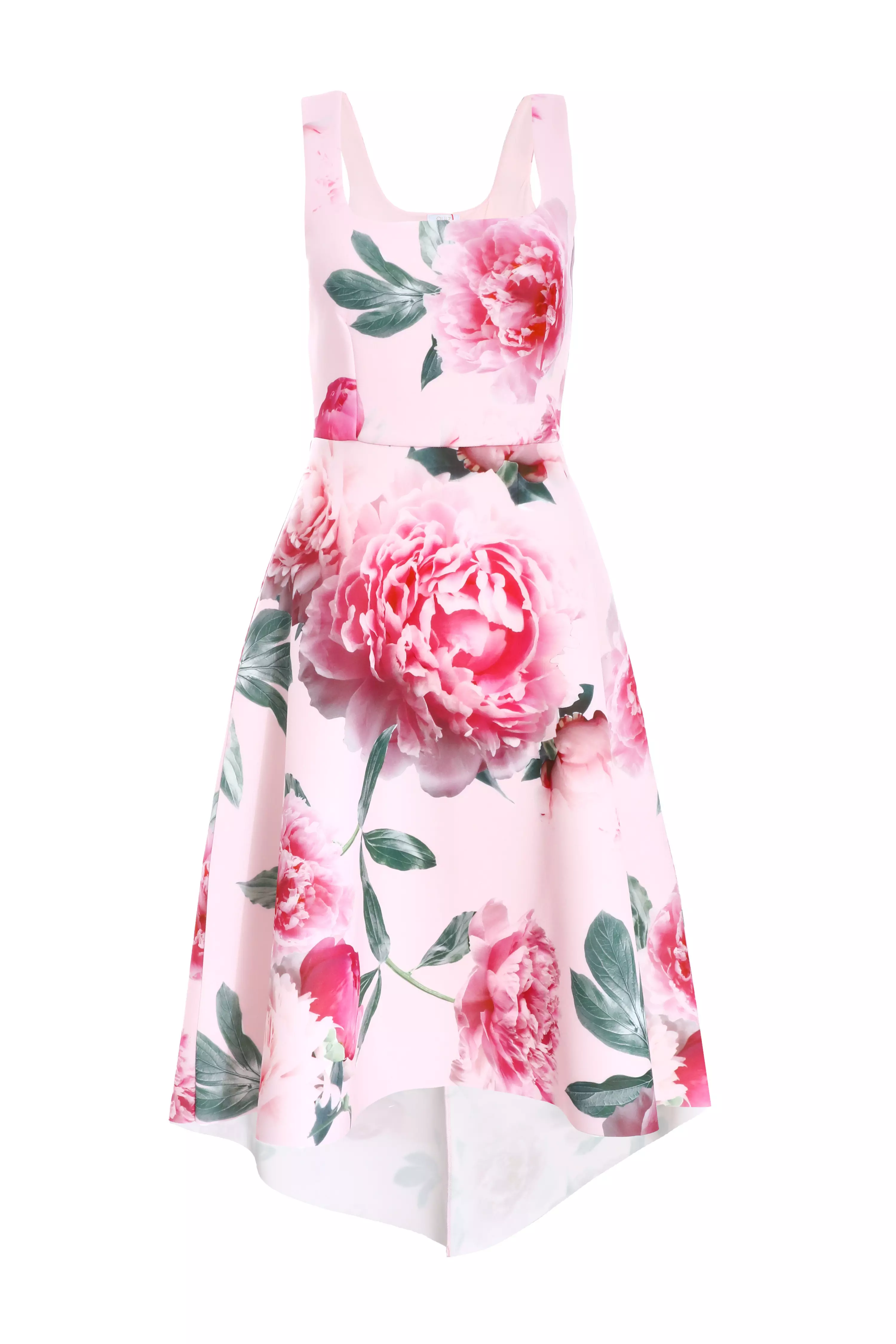 Pink Floral Dip Hem Midi Dress