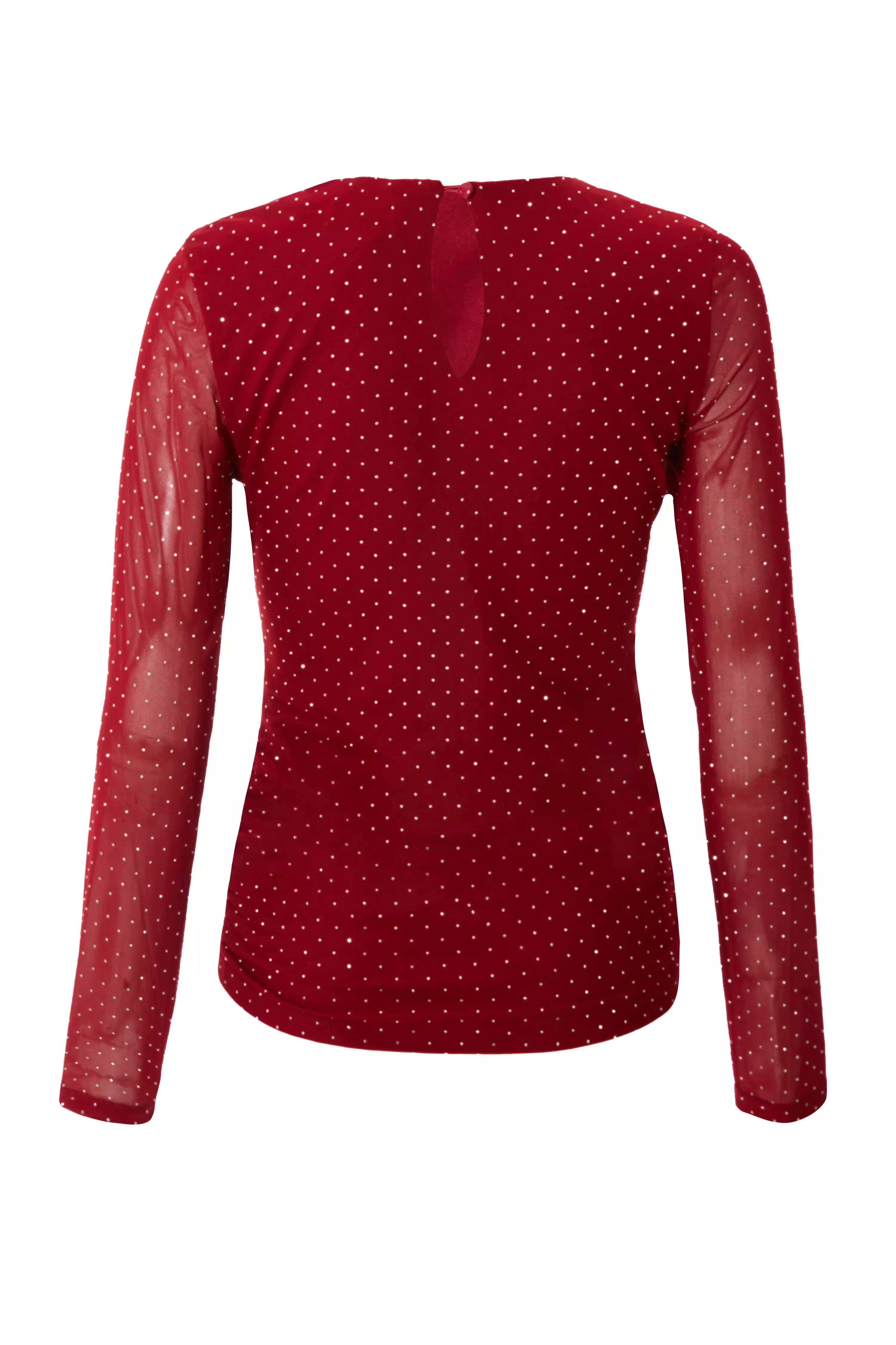 Dark Red Mesh Long Sleeve Top