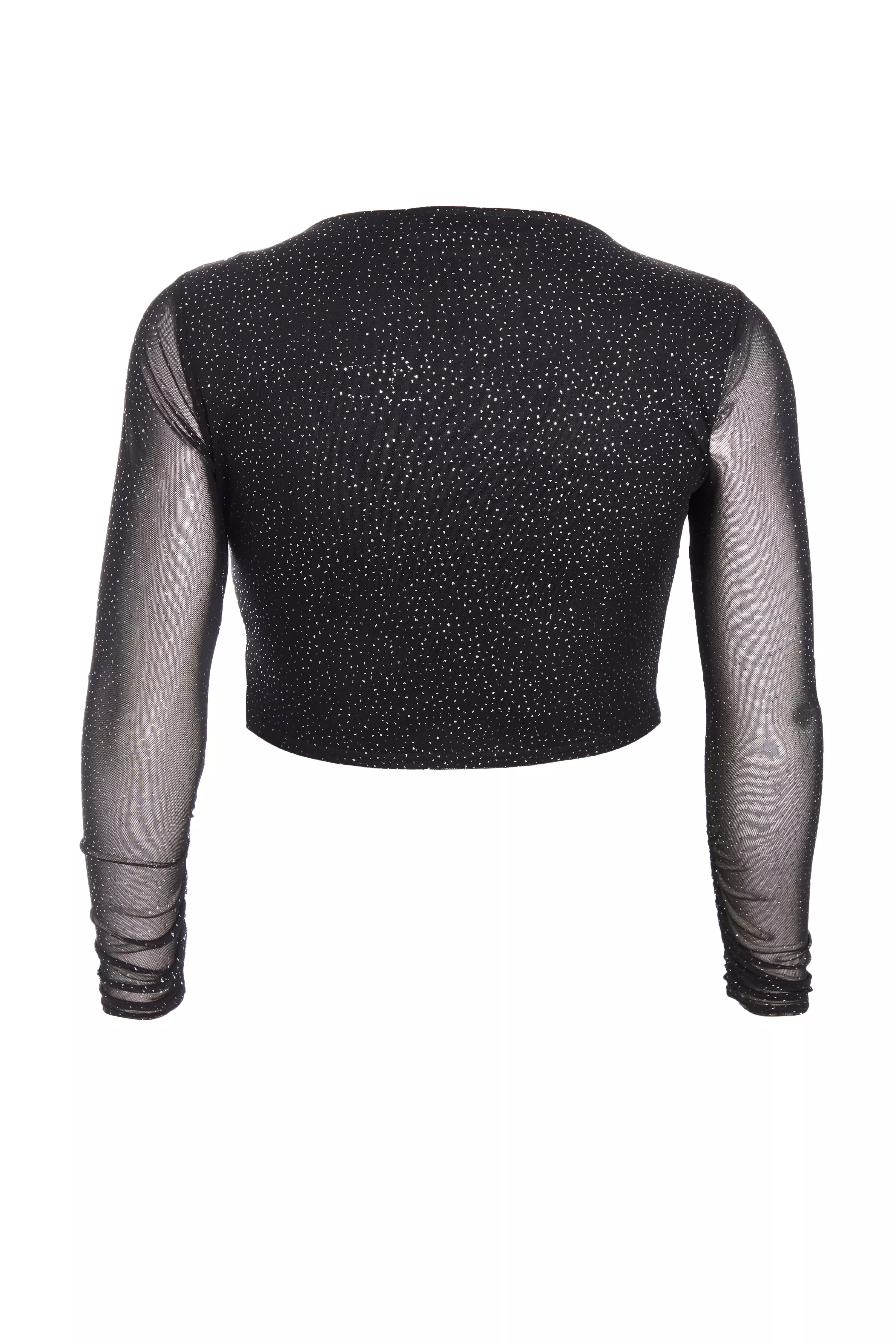 Curve Black Glitter Mesh Long Sleeve Top