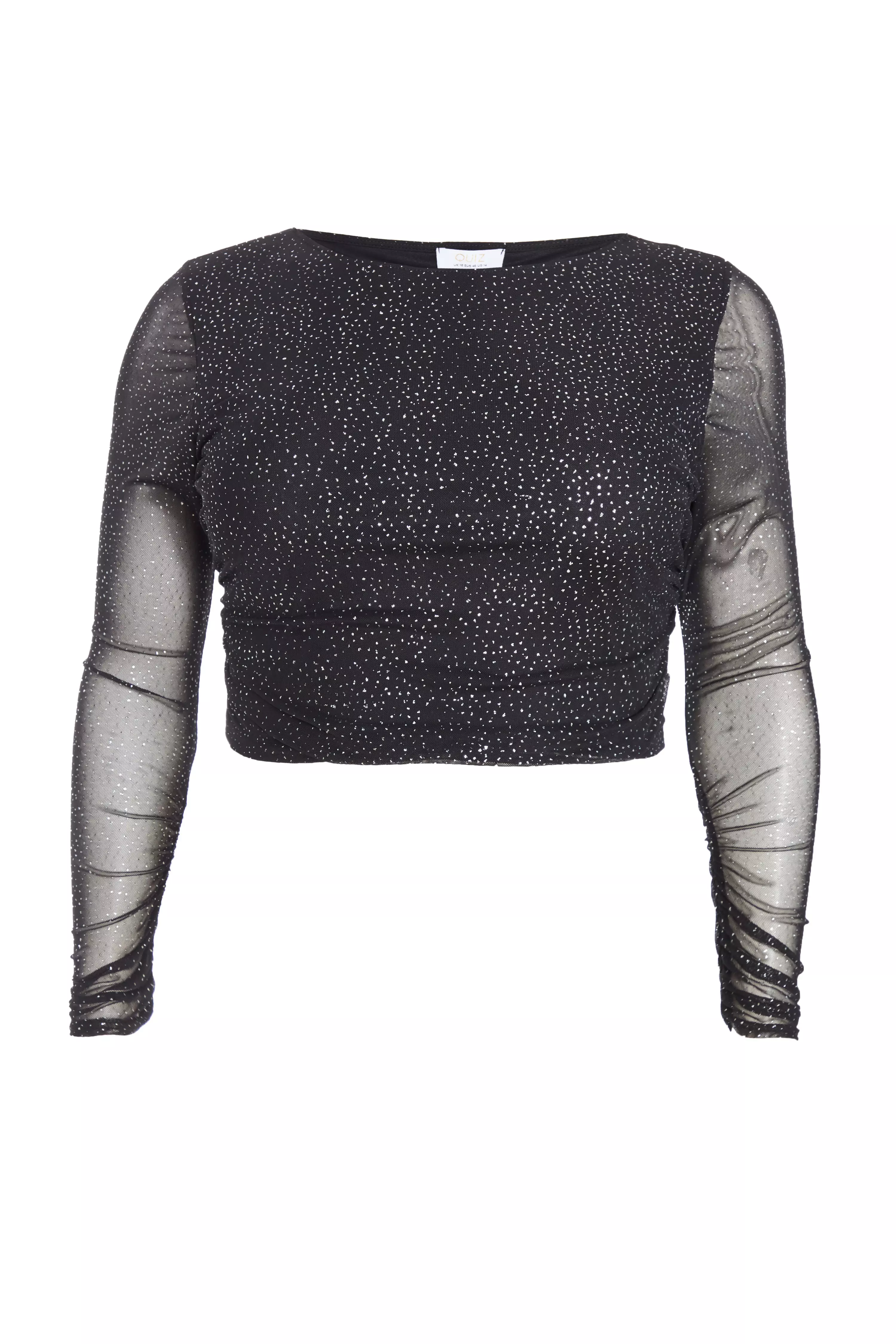 Curve Black Glitter Mesh Long Sleeve Top