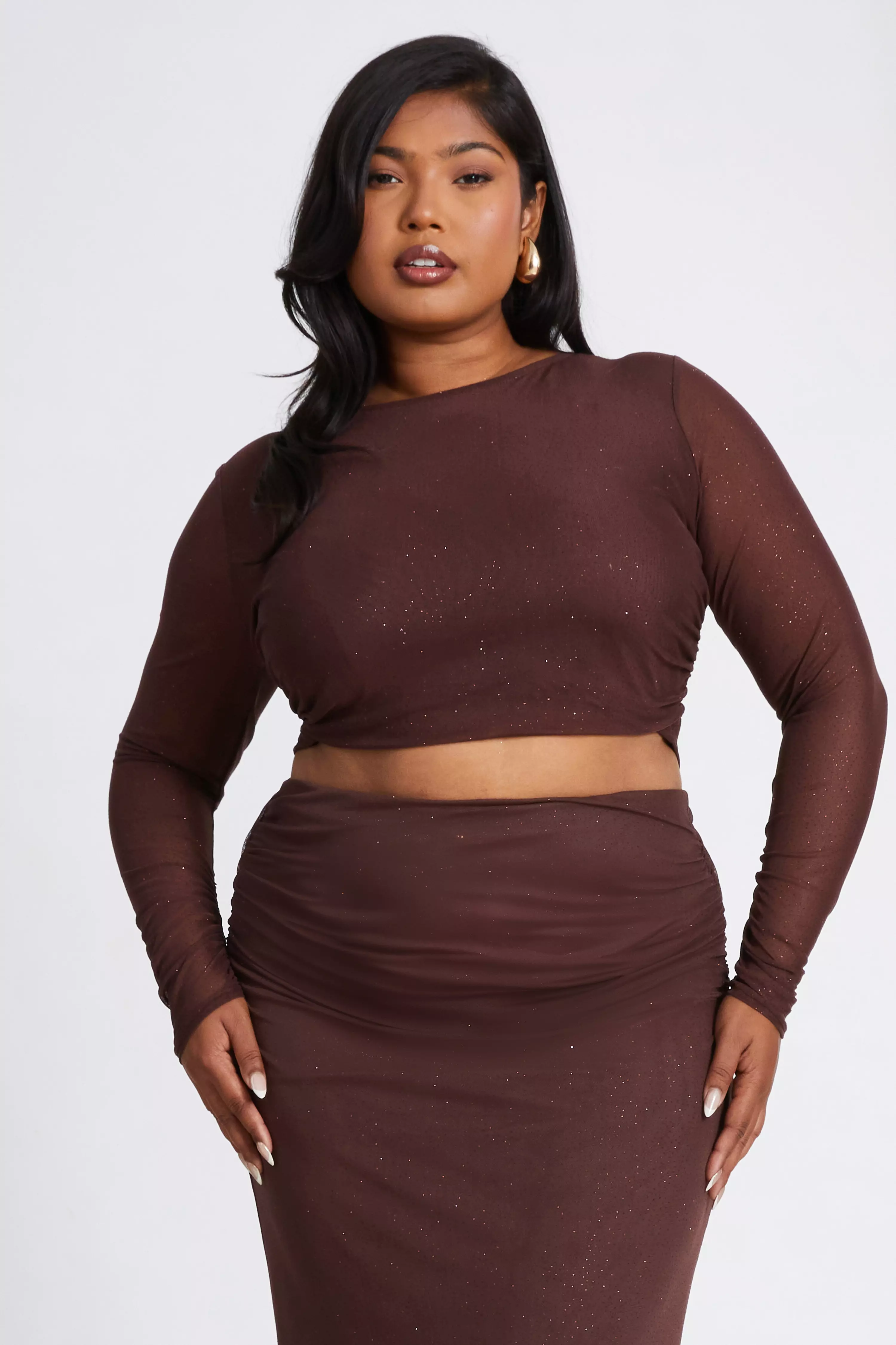 Curve Brown Glitter Mesh Long Sleeve Top