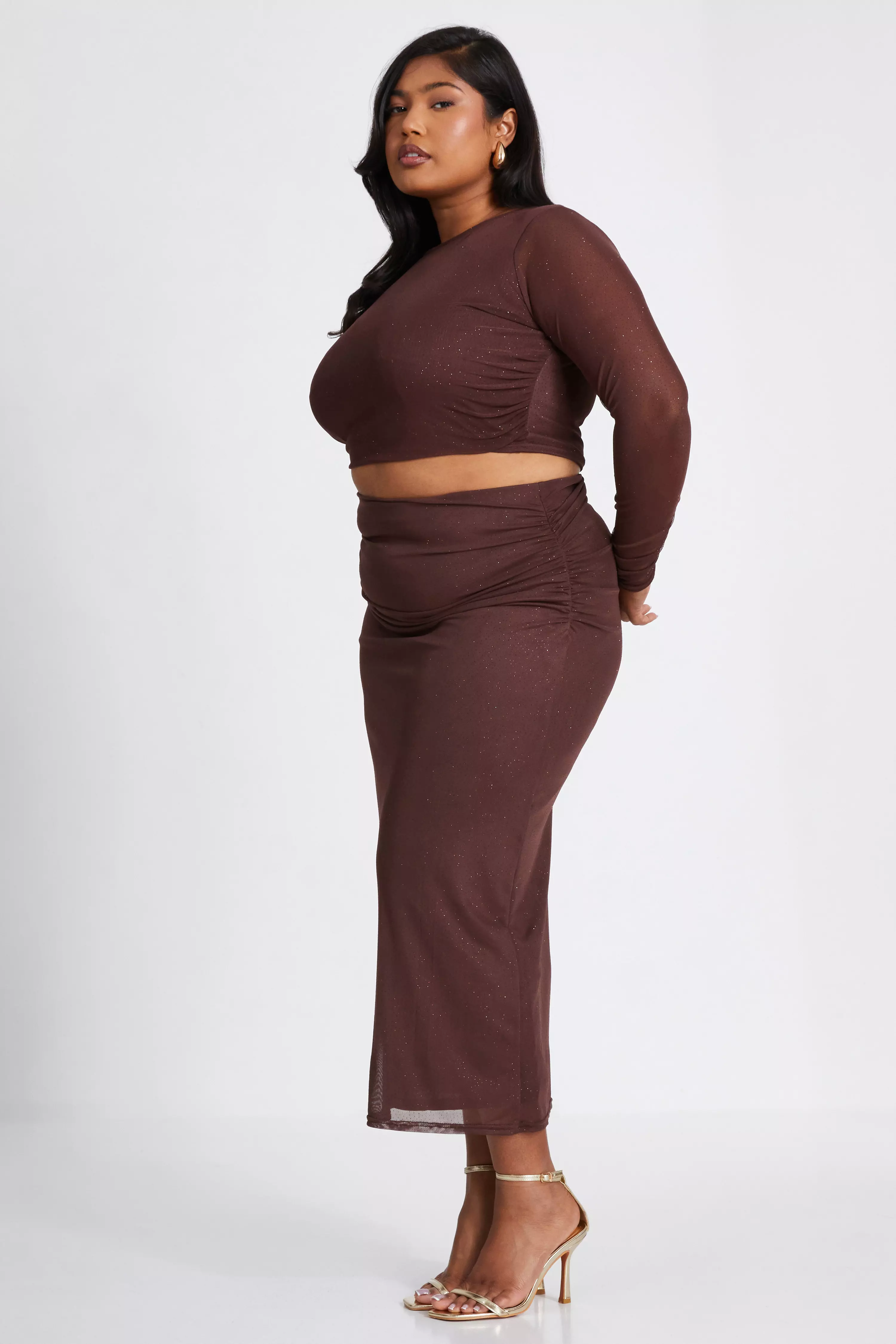 Curve Brown Glitter Mesh Long Sleeve Top