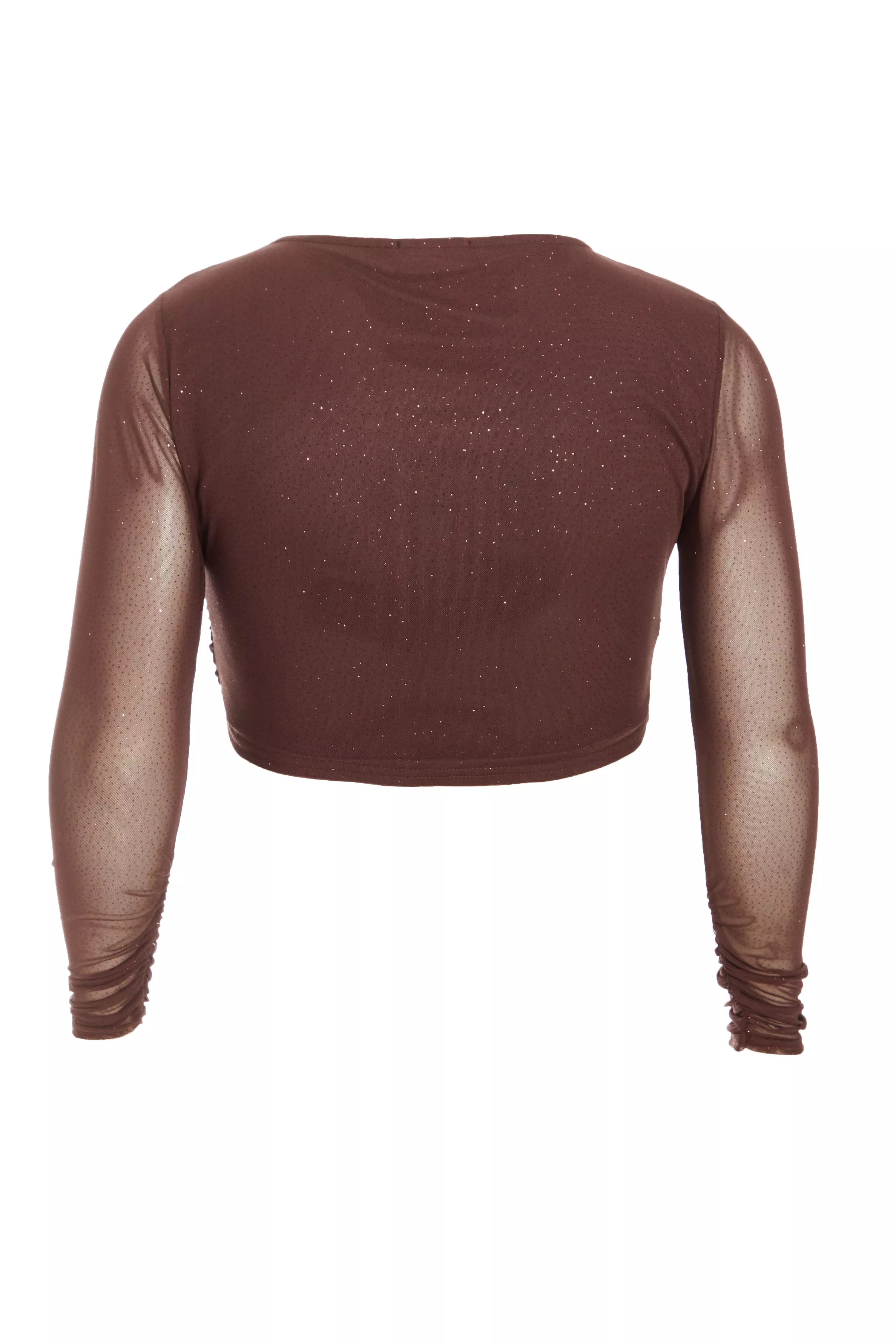 Curve Brown Glitter Mesh Long Sleeve Top