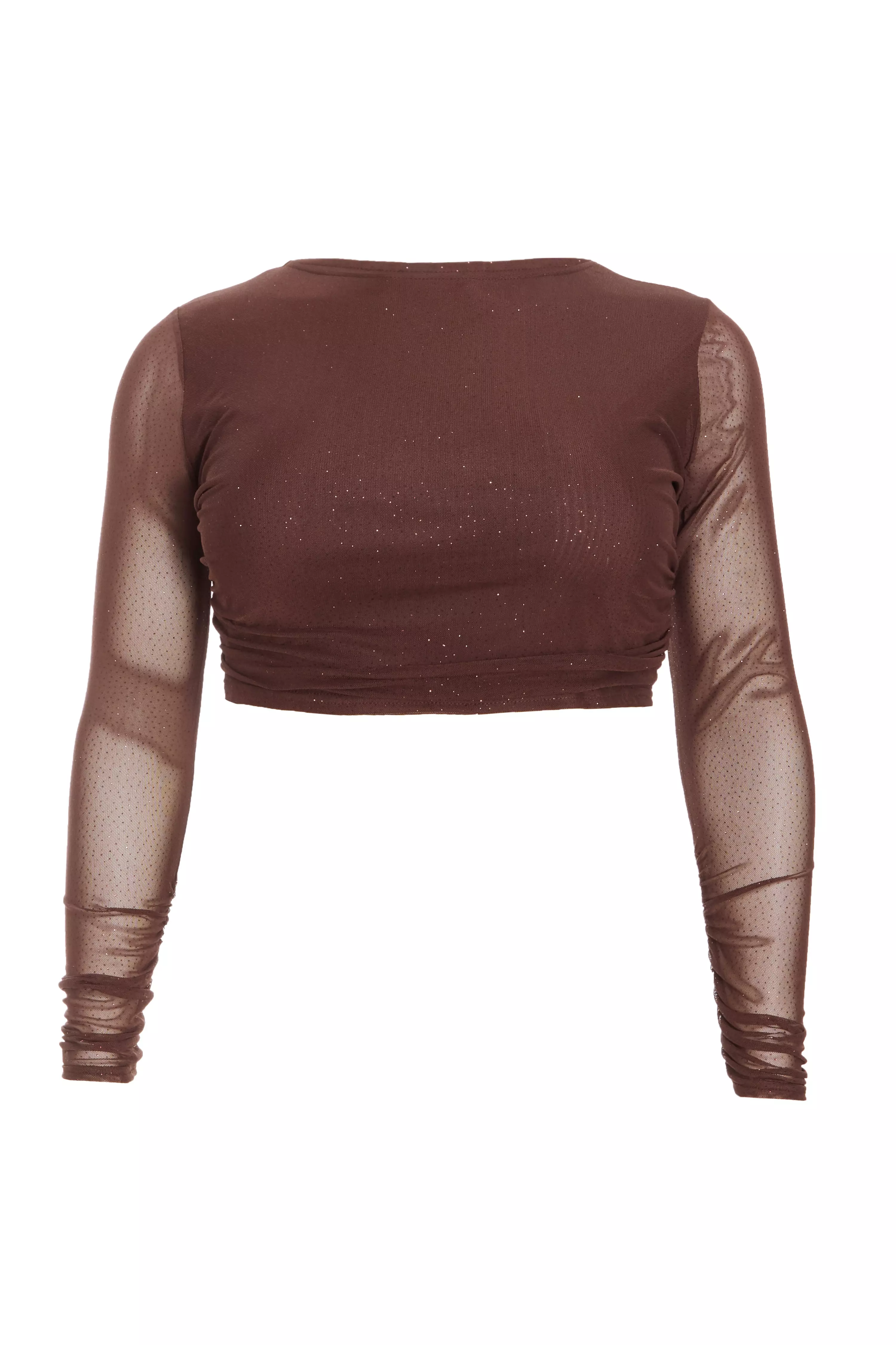 Curve Brown Glitter Mesh Long Sleeve Top