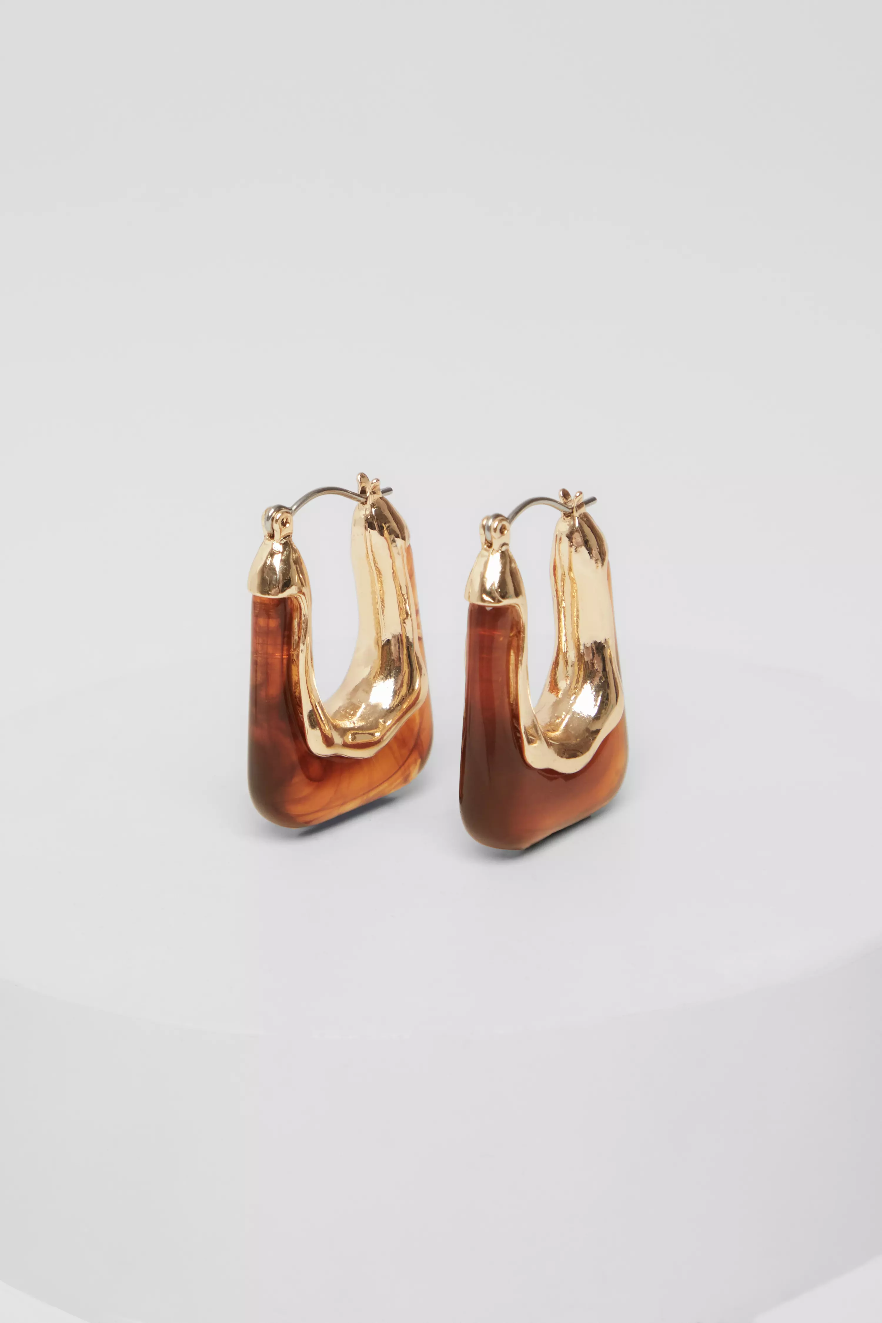 Brown Resin Hoop Earrings