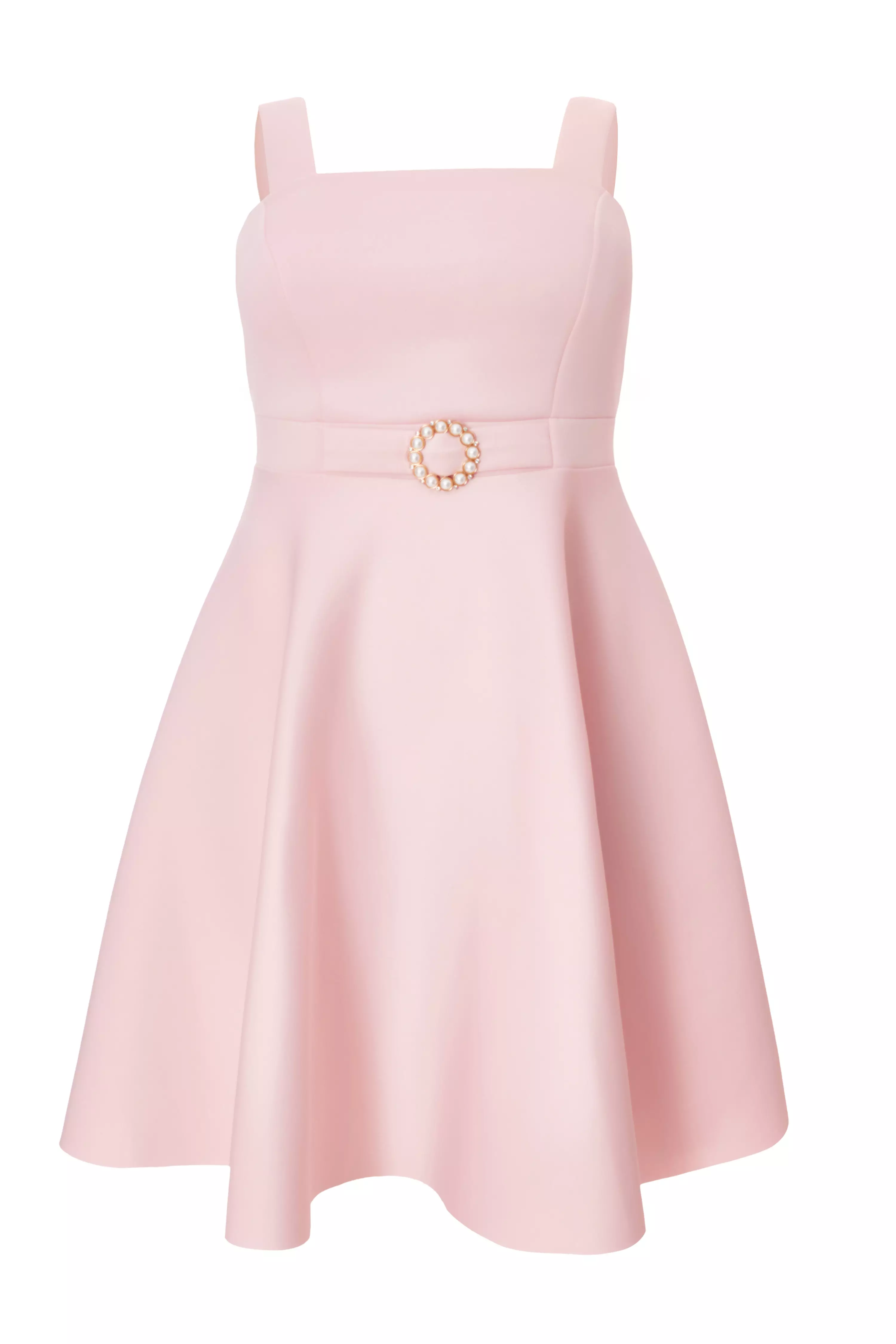 Curve Pink Belted Skater Dress