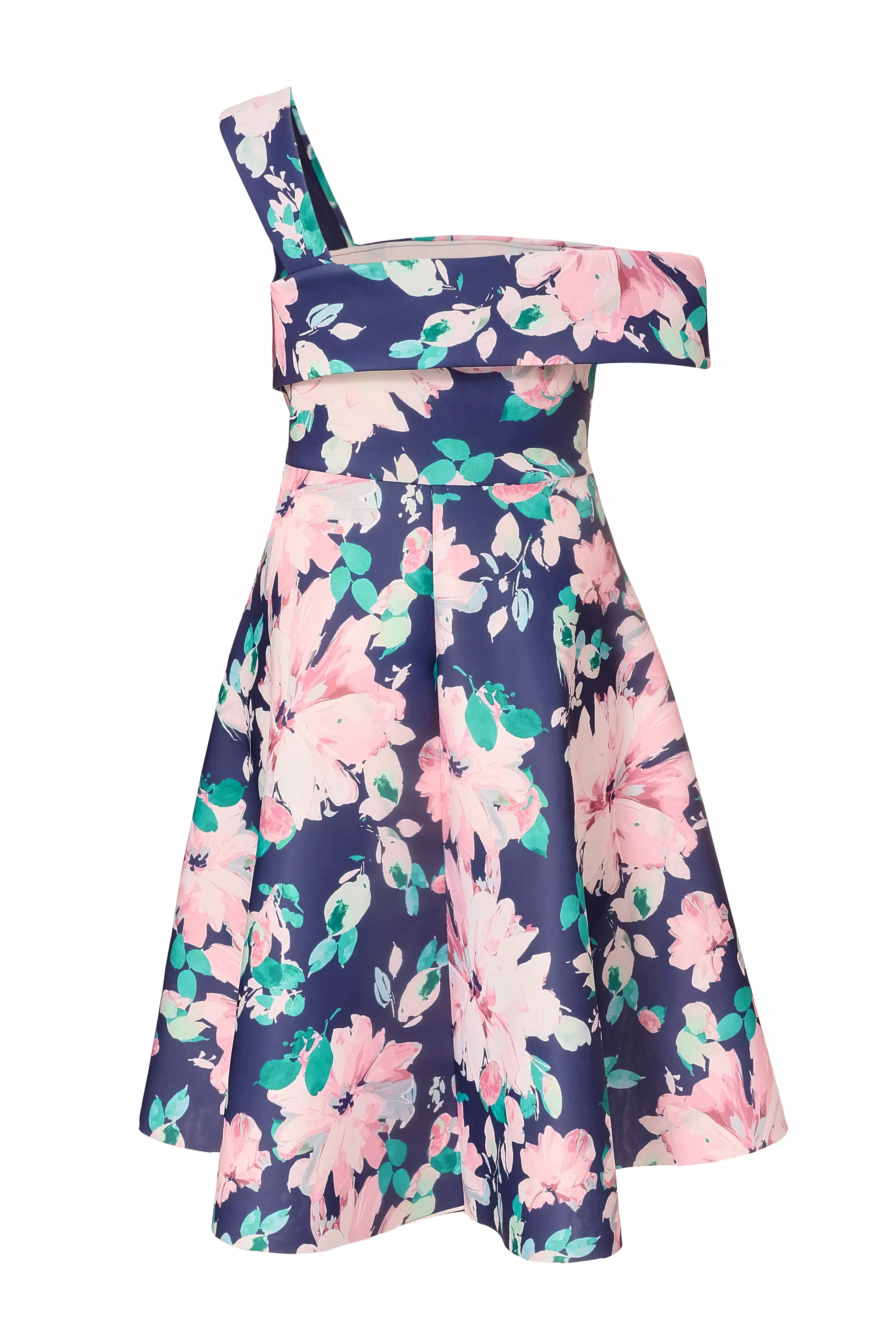 Curve Navy Floral Print Skater Dress