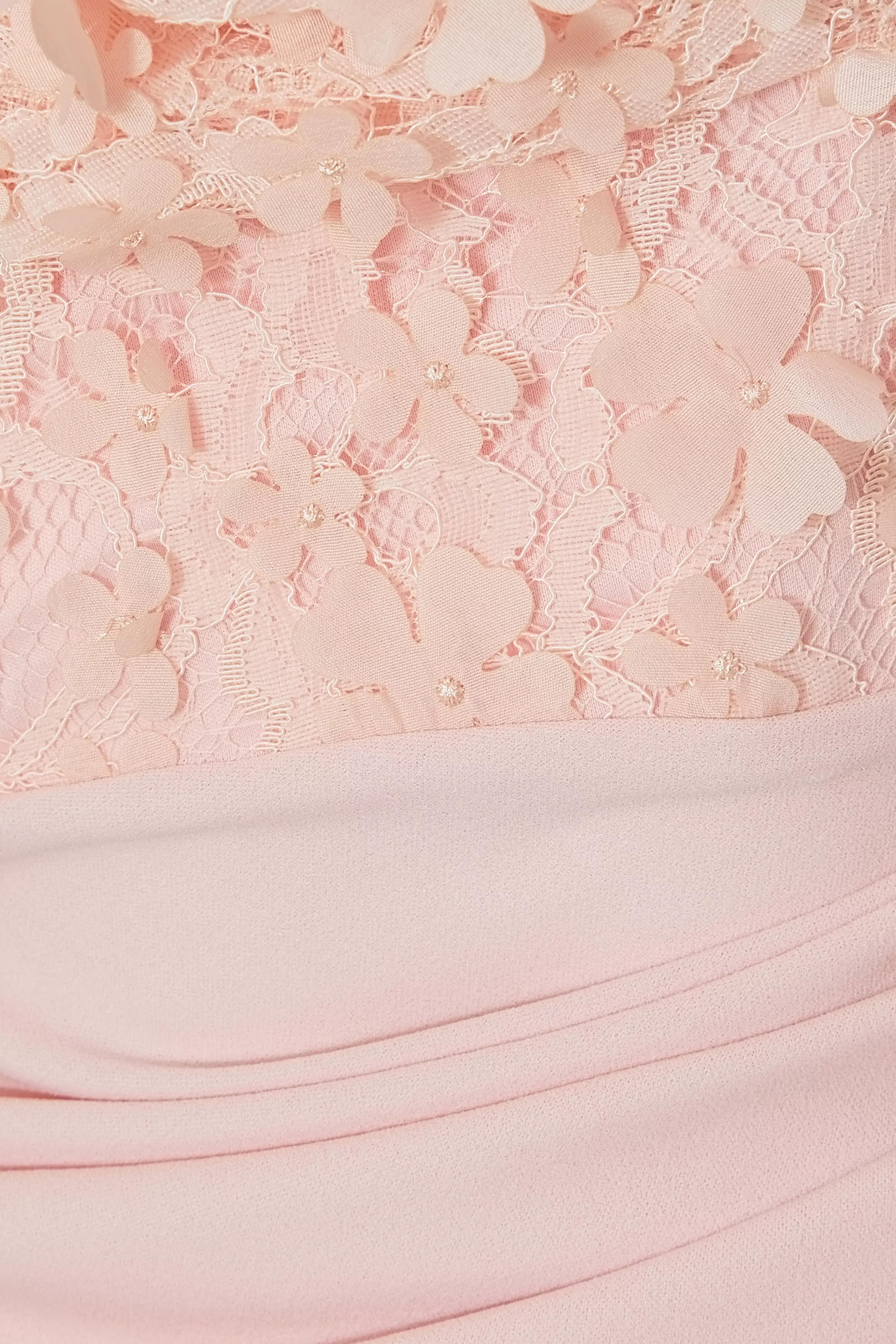 Petite Pale Pink Floral Maxi Dress