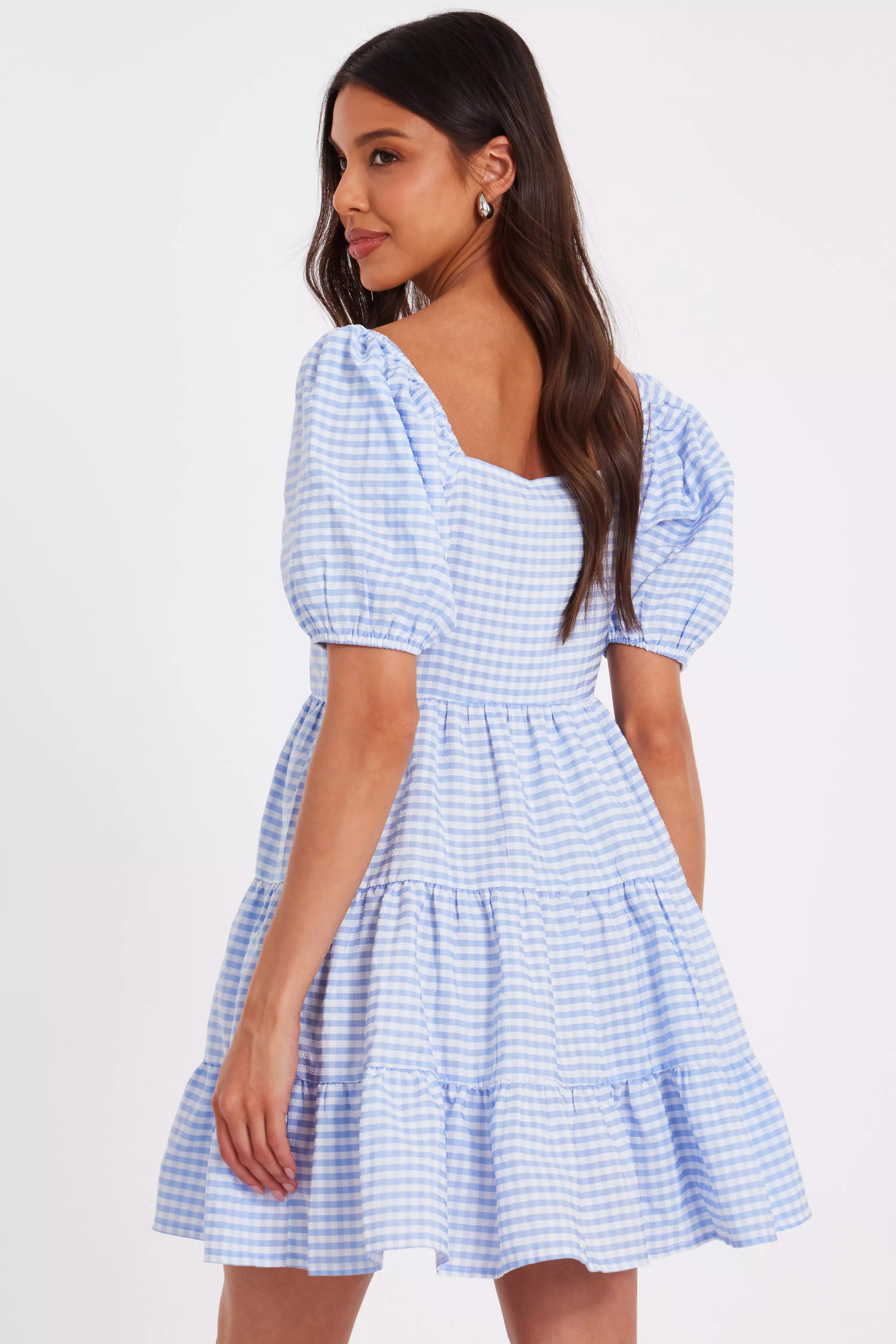 Blue Gingham Puff Sleeve Dress