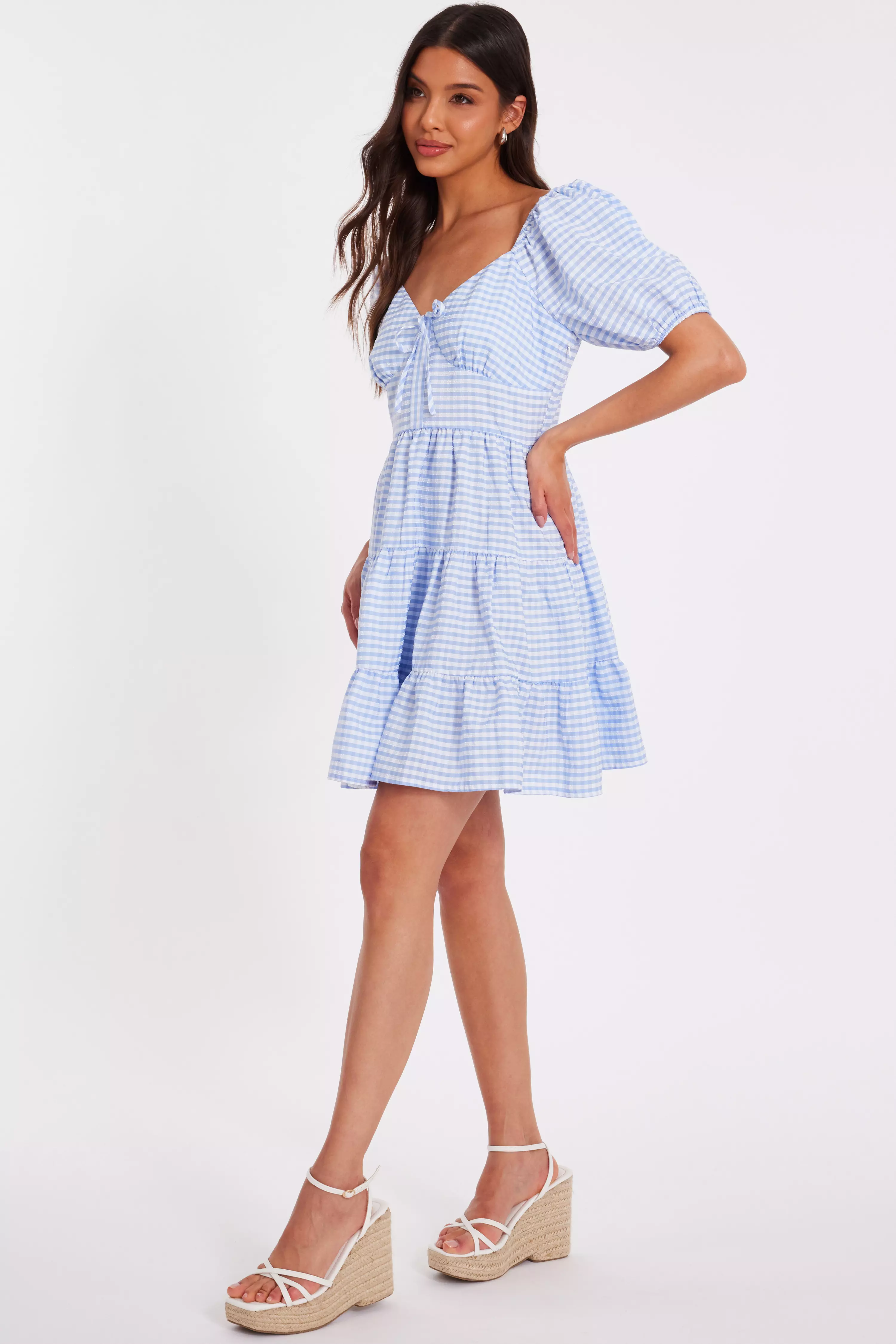 Blue Gingham Puff Sleeve Dress
