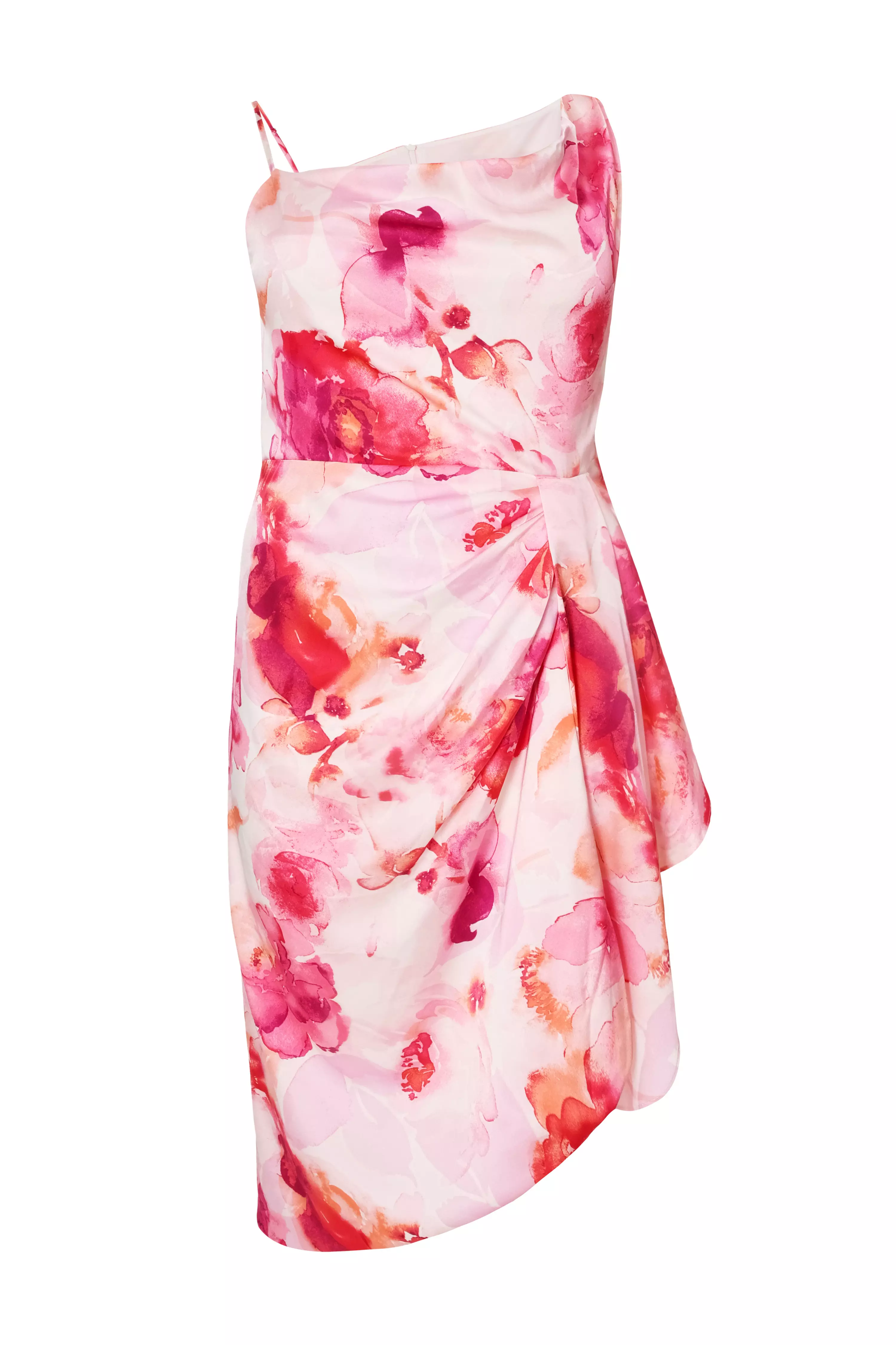 Curve Blush Floral Print Midi Dress