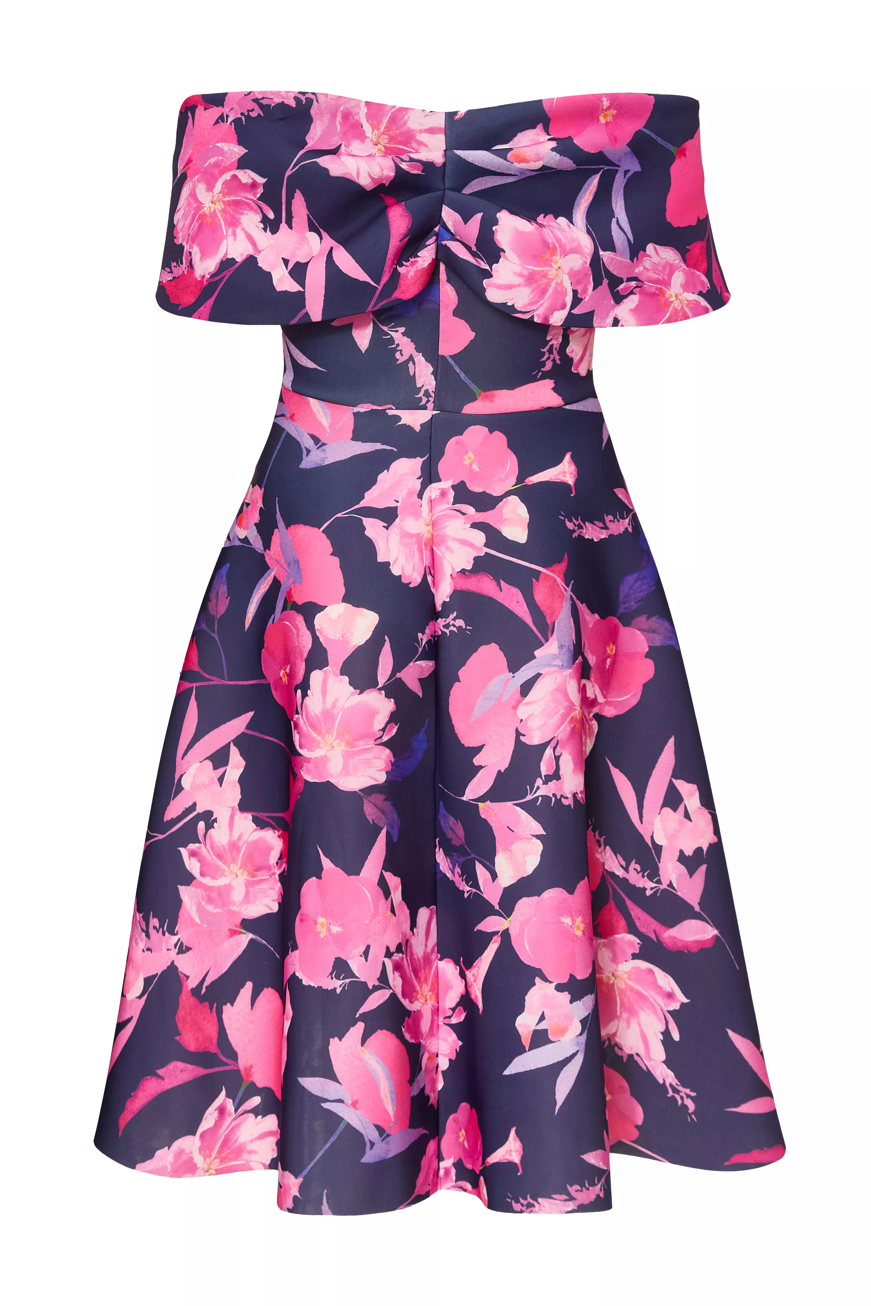 Curve Navy Floral Skater Dress