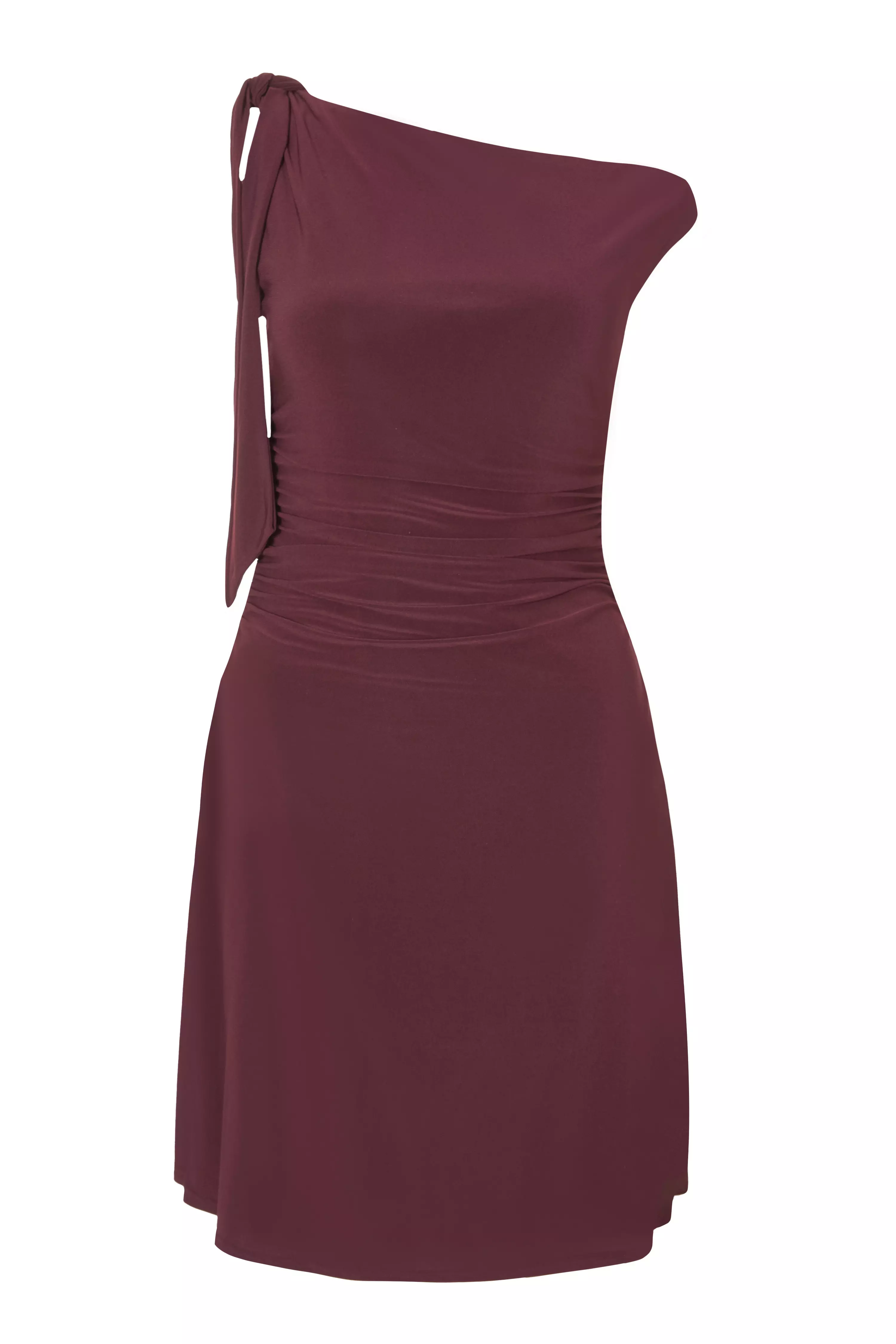 Plum Tie Shoulder Mini Dress