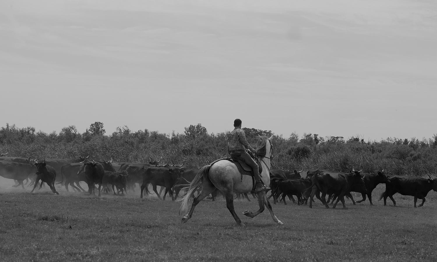 Enter the Victory Vault