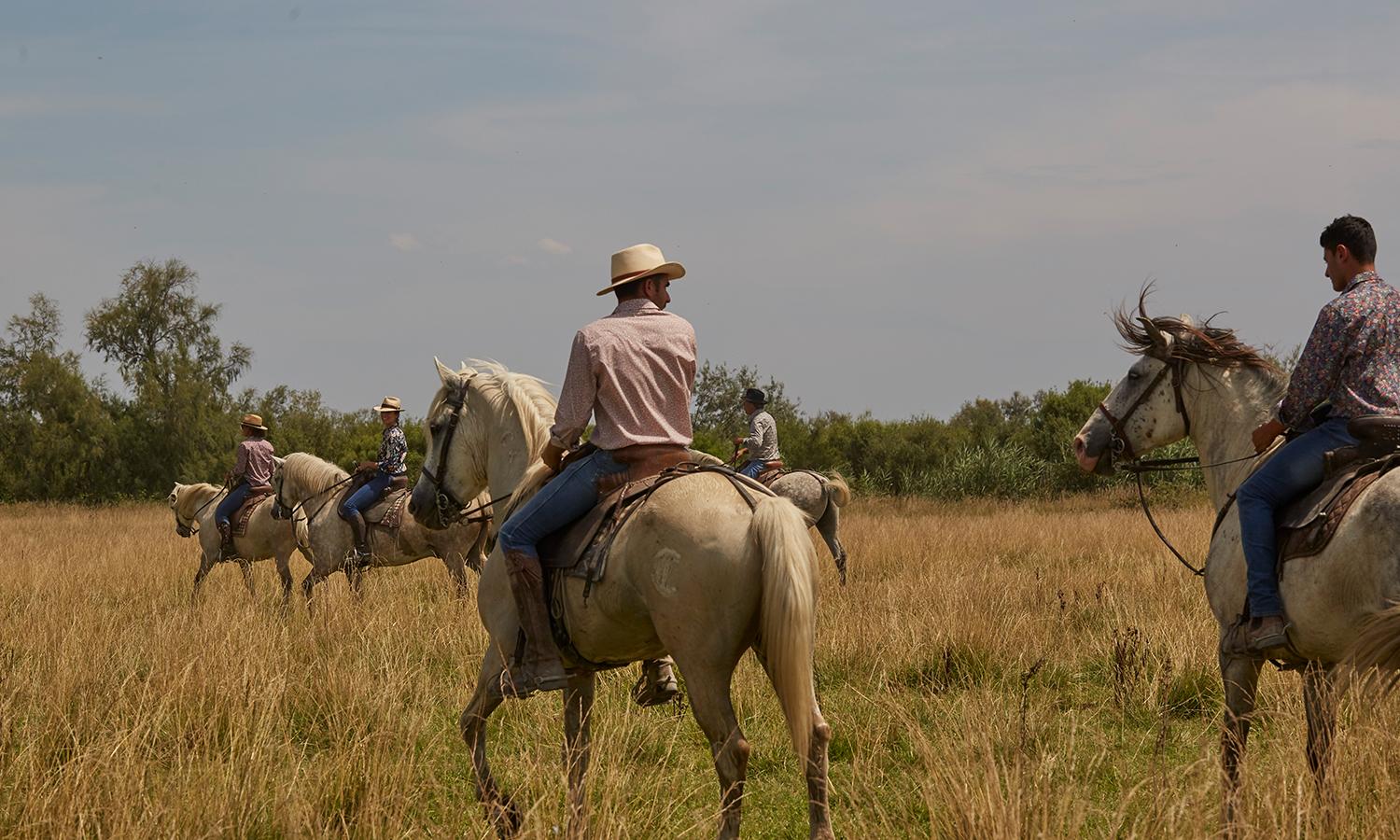 Enter the Victory Vault