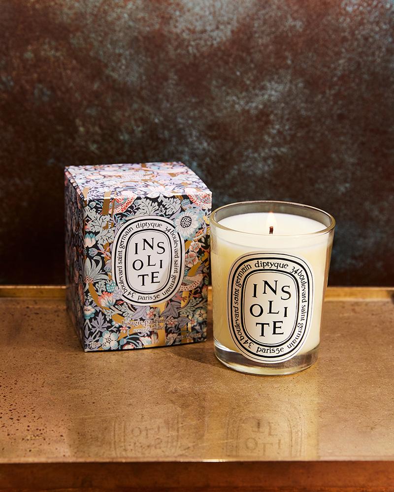 Diptyque vetiver online candle