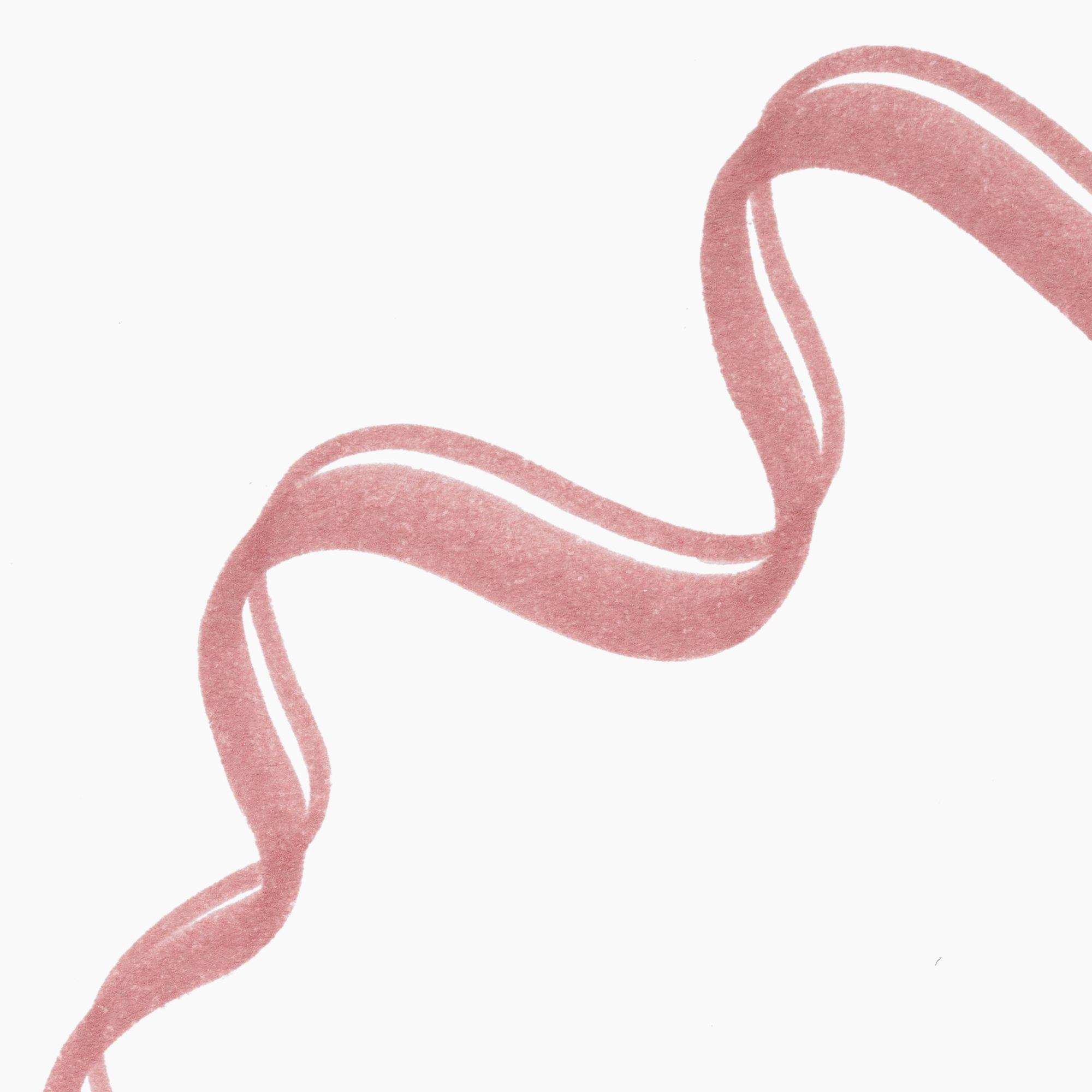 Precision Ink Lip Liner Stain