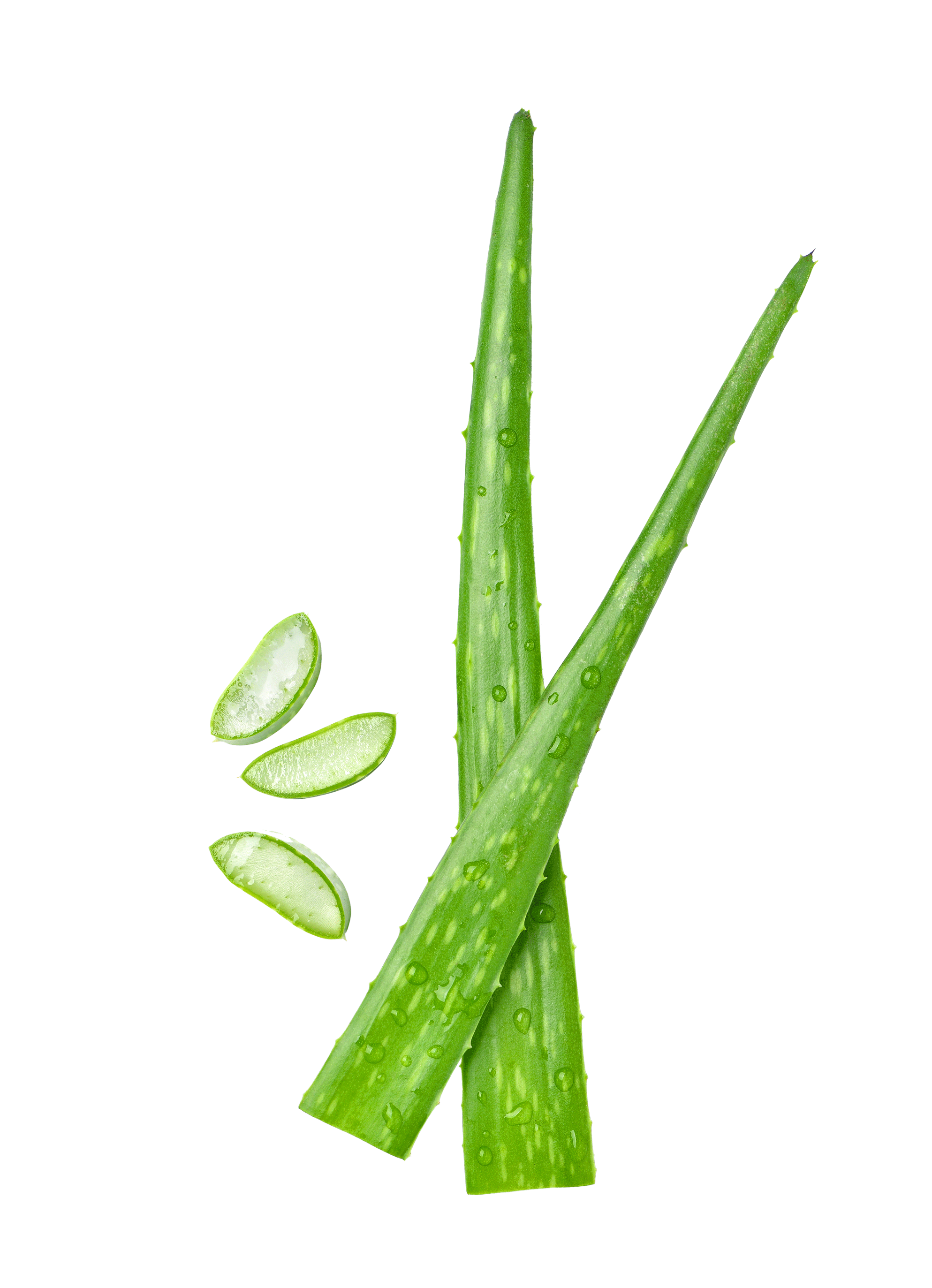 Aloe Vera-Gel