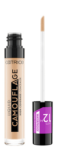 Liquid Camouflage High Coverage Concealer