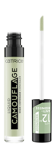 Liquid Camouflage High Coverage Concealer