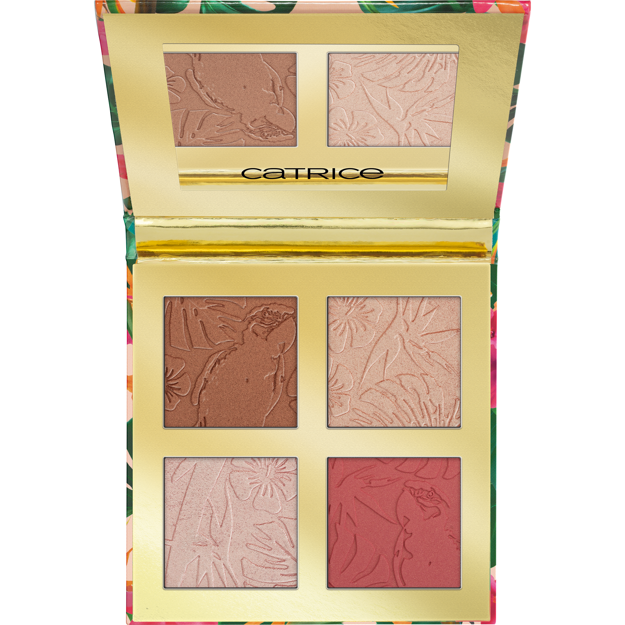 Tropic Exotic Palette Guance