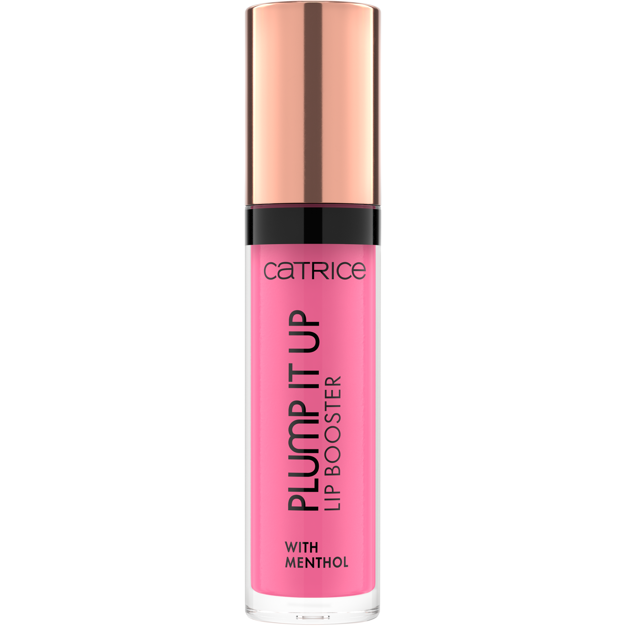 Plump It Up Lip Booster