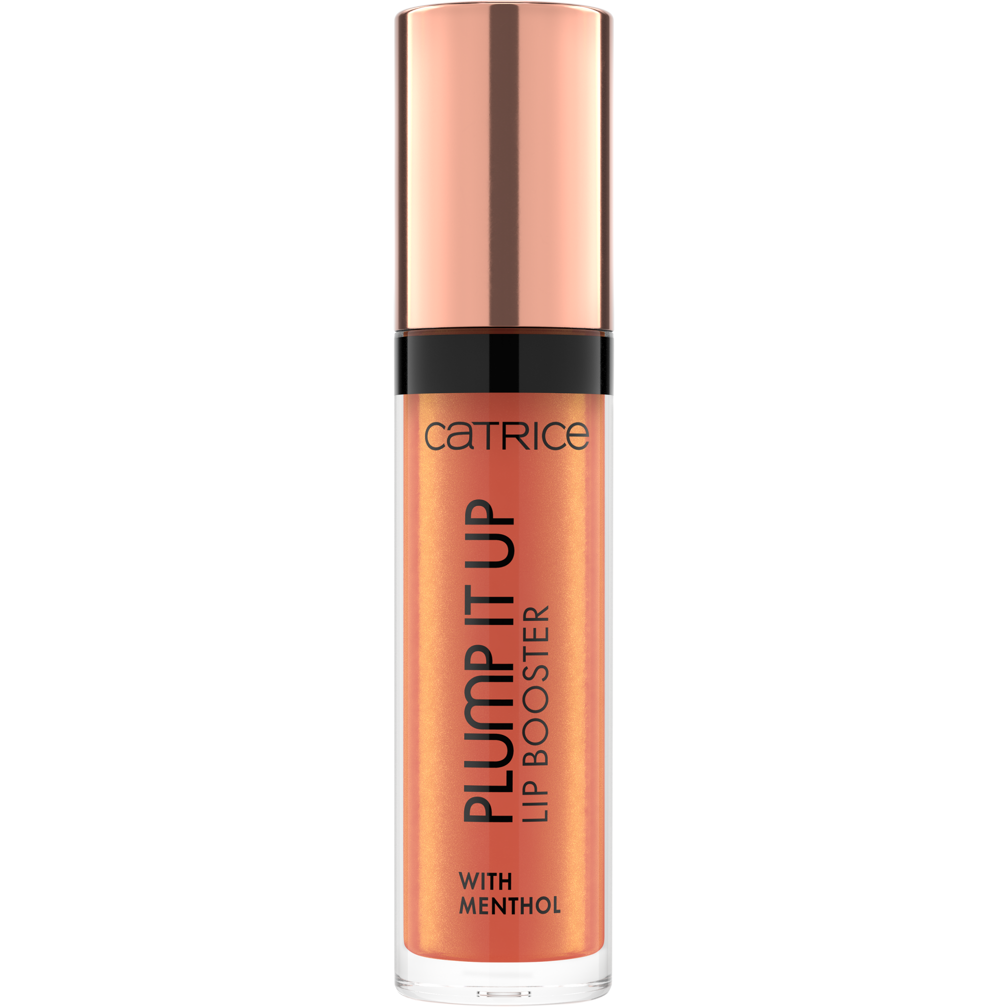 Plump It Up Lip Booster