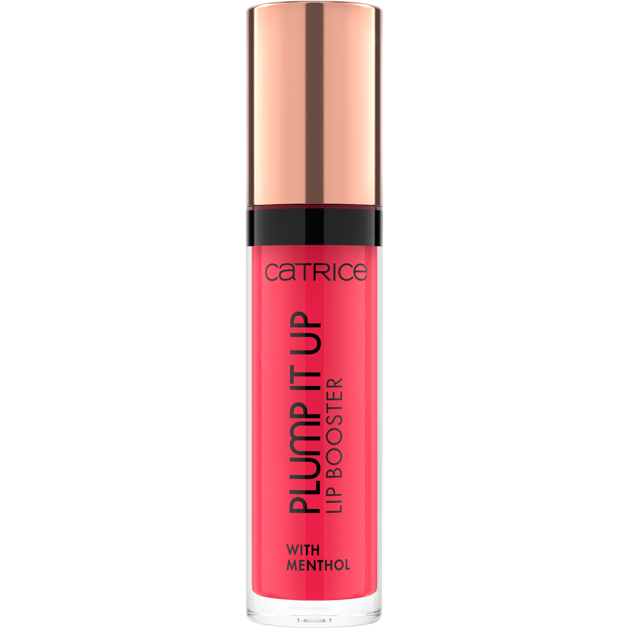 Plump It Up Lip Booster