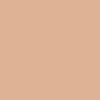 020 Warm Beige