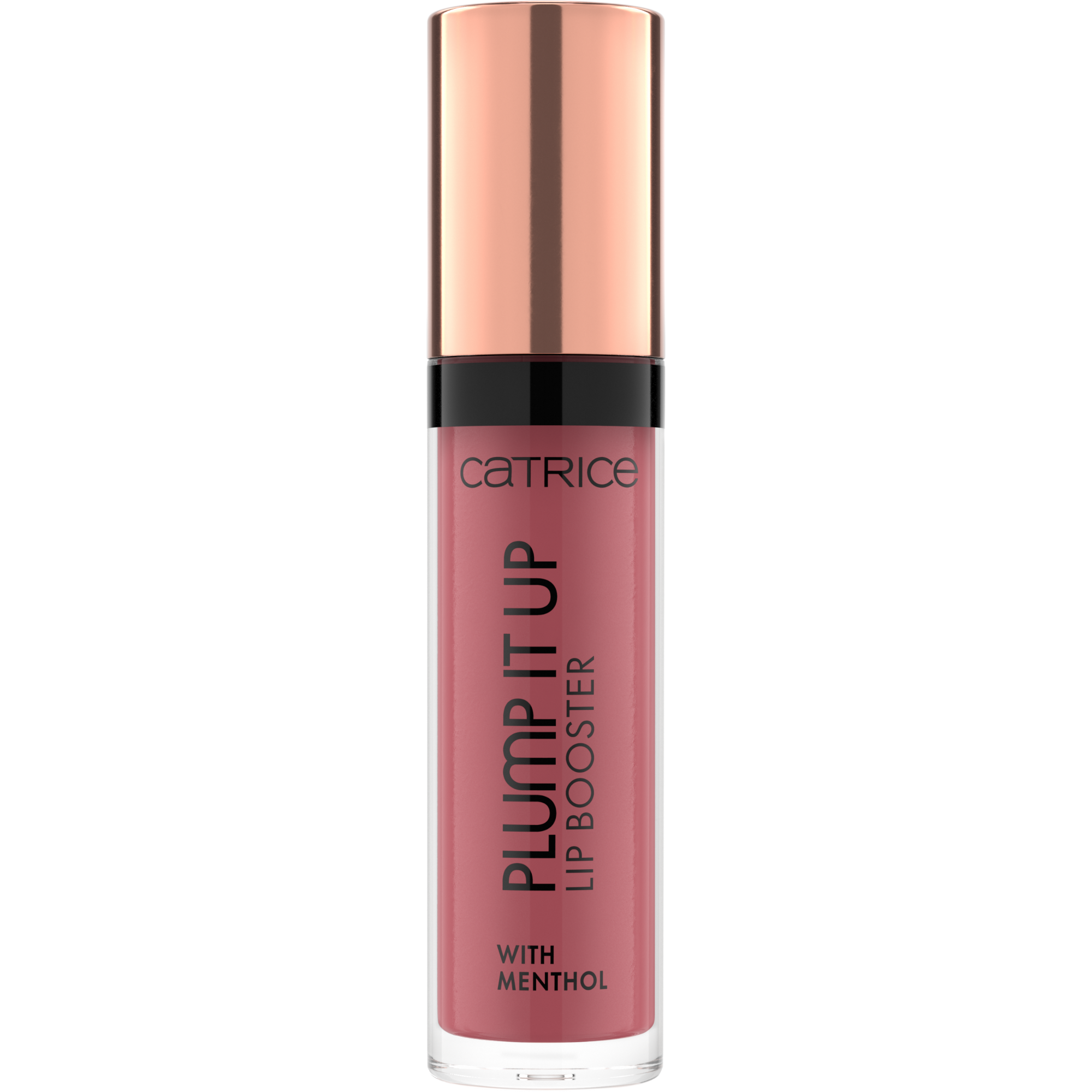 Plump It Up Lip Booster