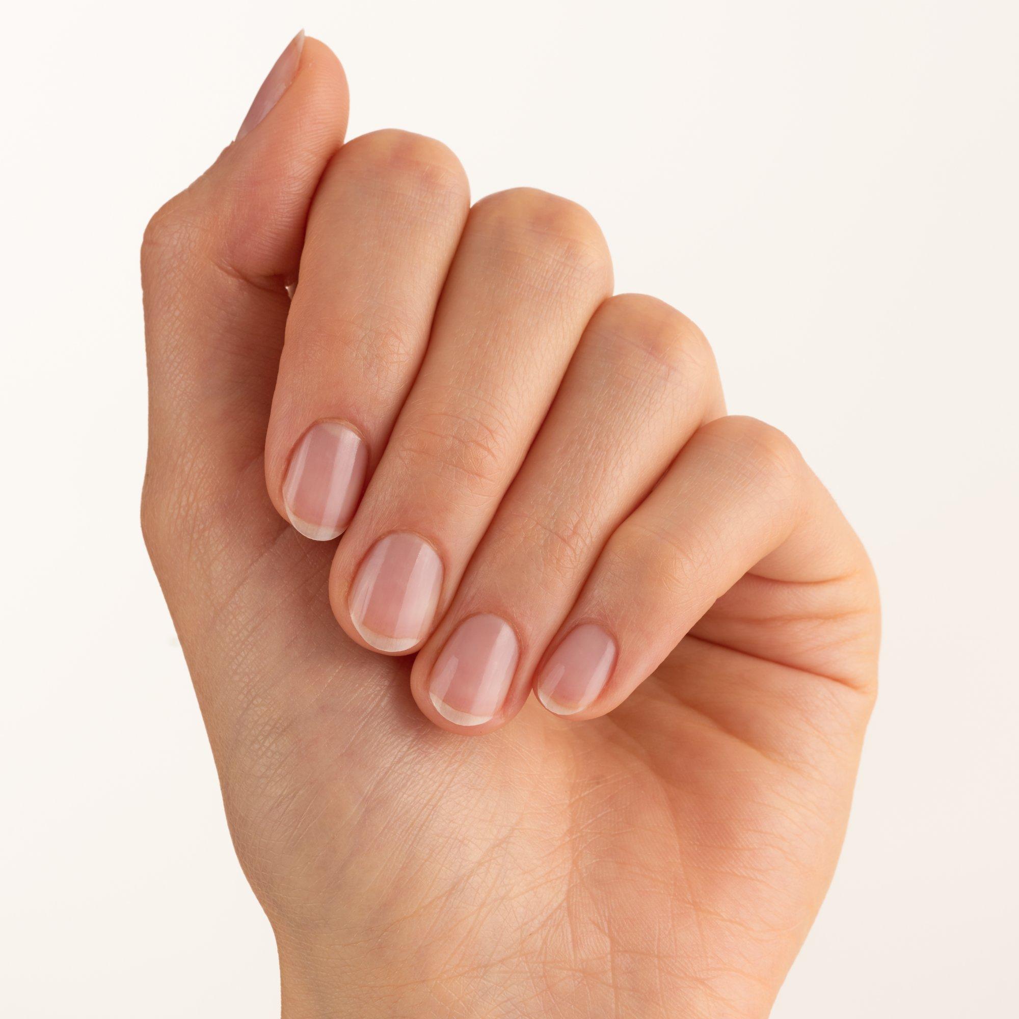 THE ANTI-SPLIT BASE COAT