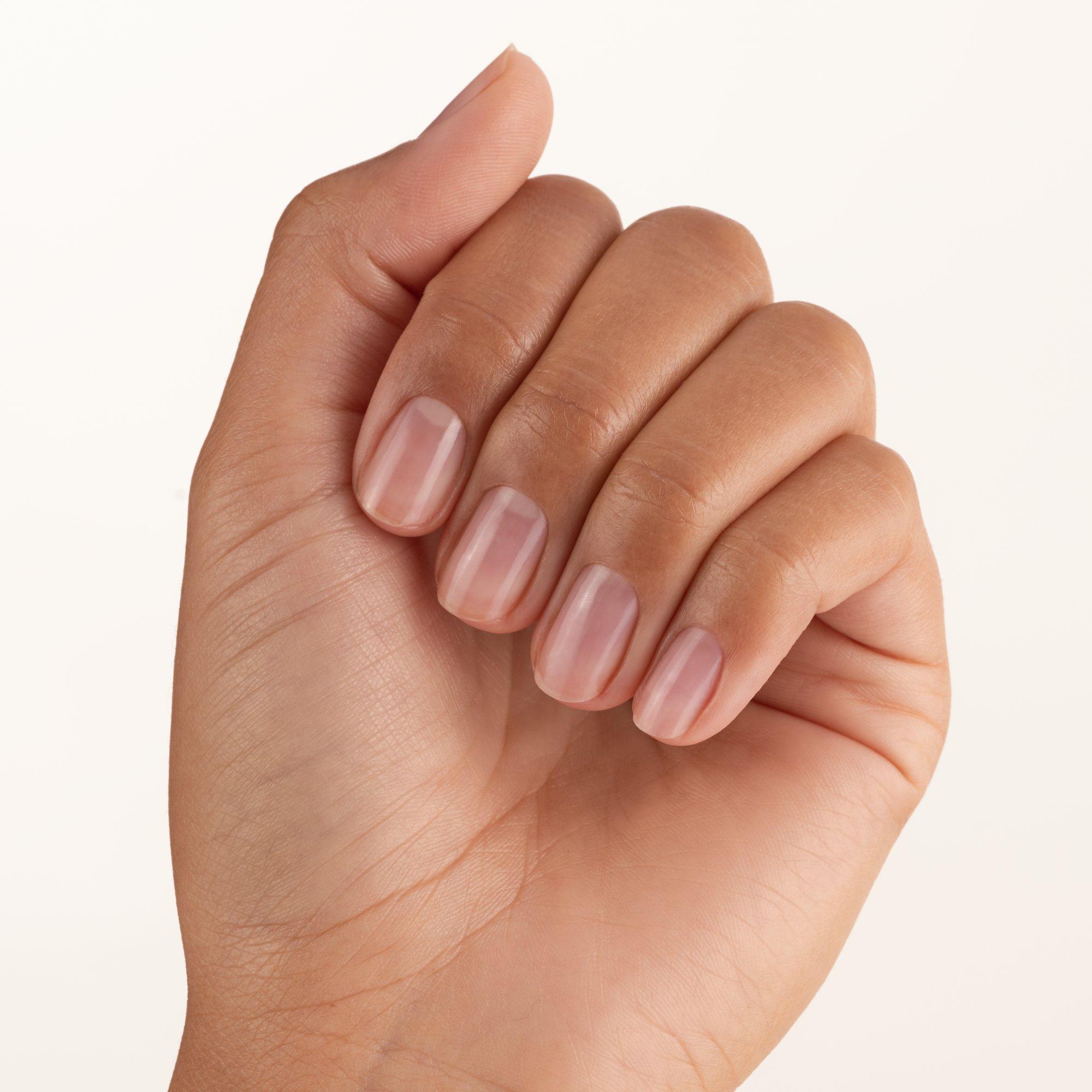 THE ANTI-SPLIT BASE COAT