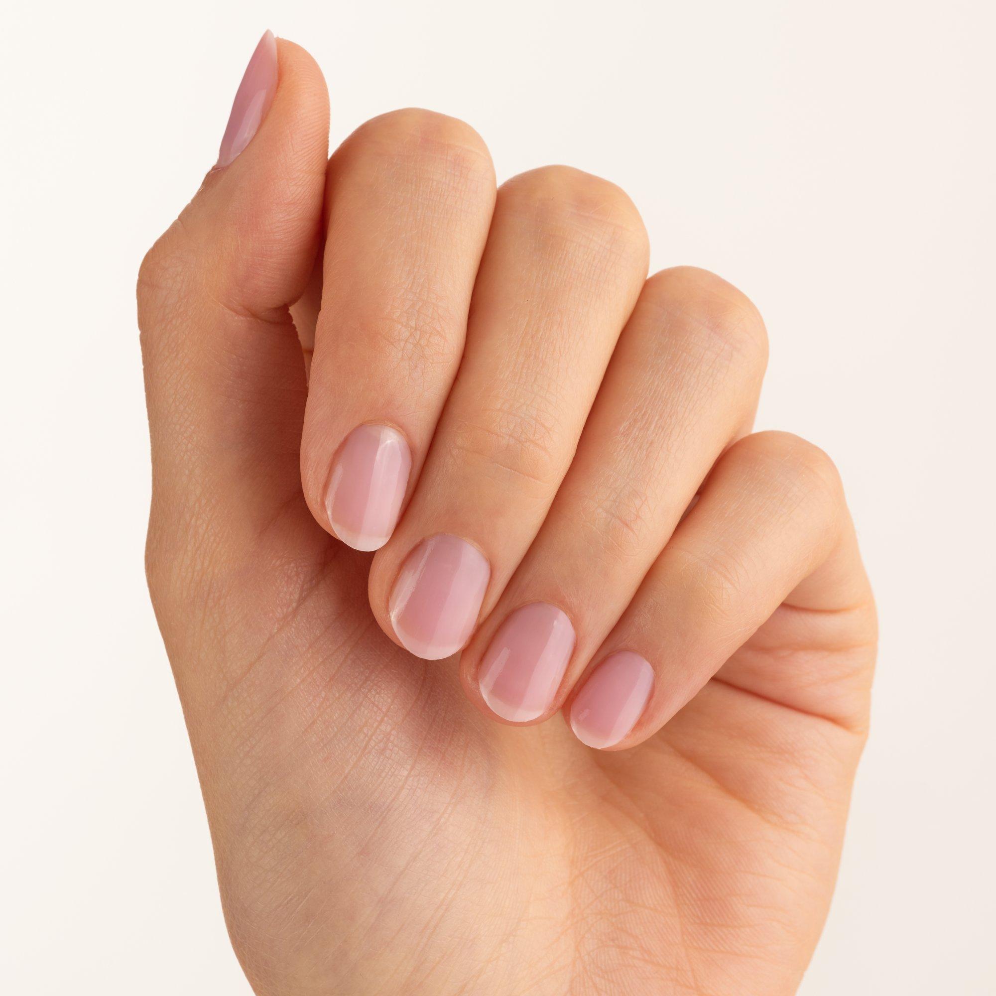 THE REPAIR & CARE BASE COAT