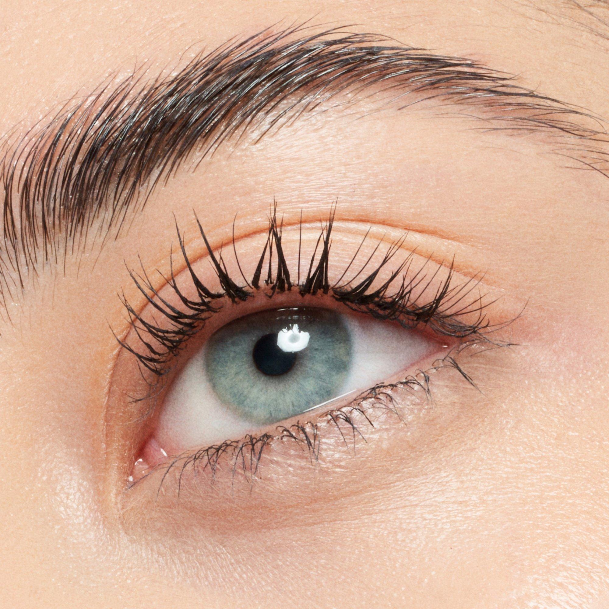 Lash Brow Designer Ripsme & kulmu geeltušš